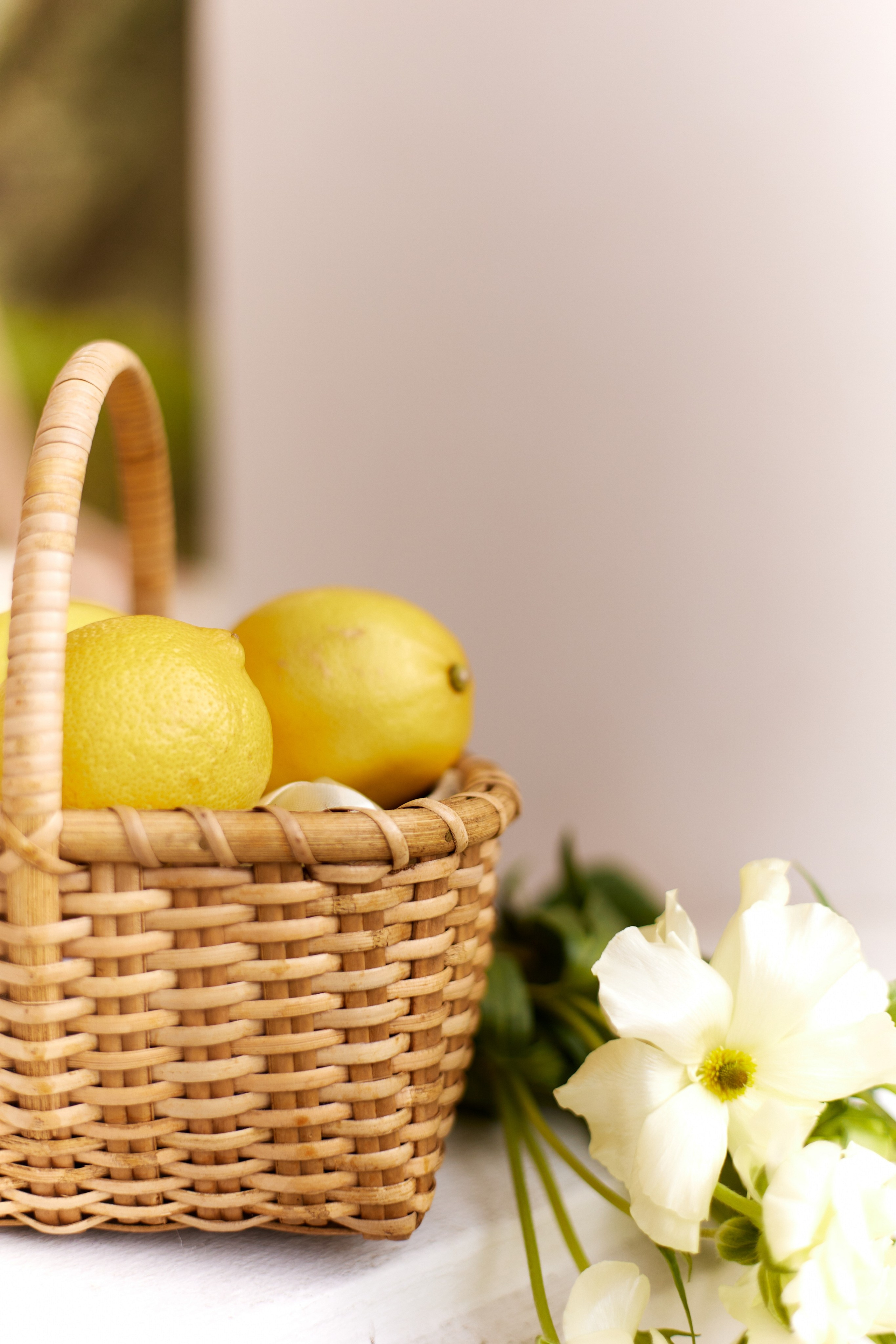 Даша. Фотограф Губанова Ирина