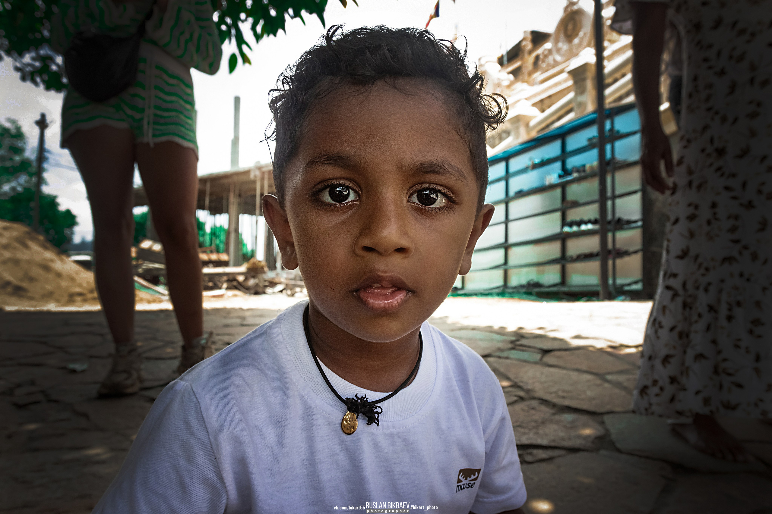 ШРИ-ЛАНКА 2025 / SRI LANKA 2025. Главная