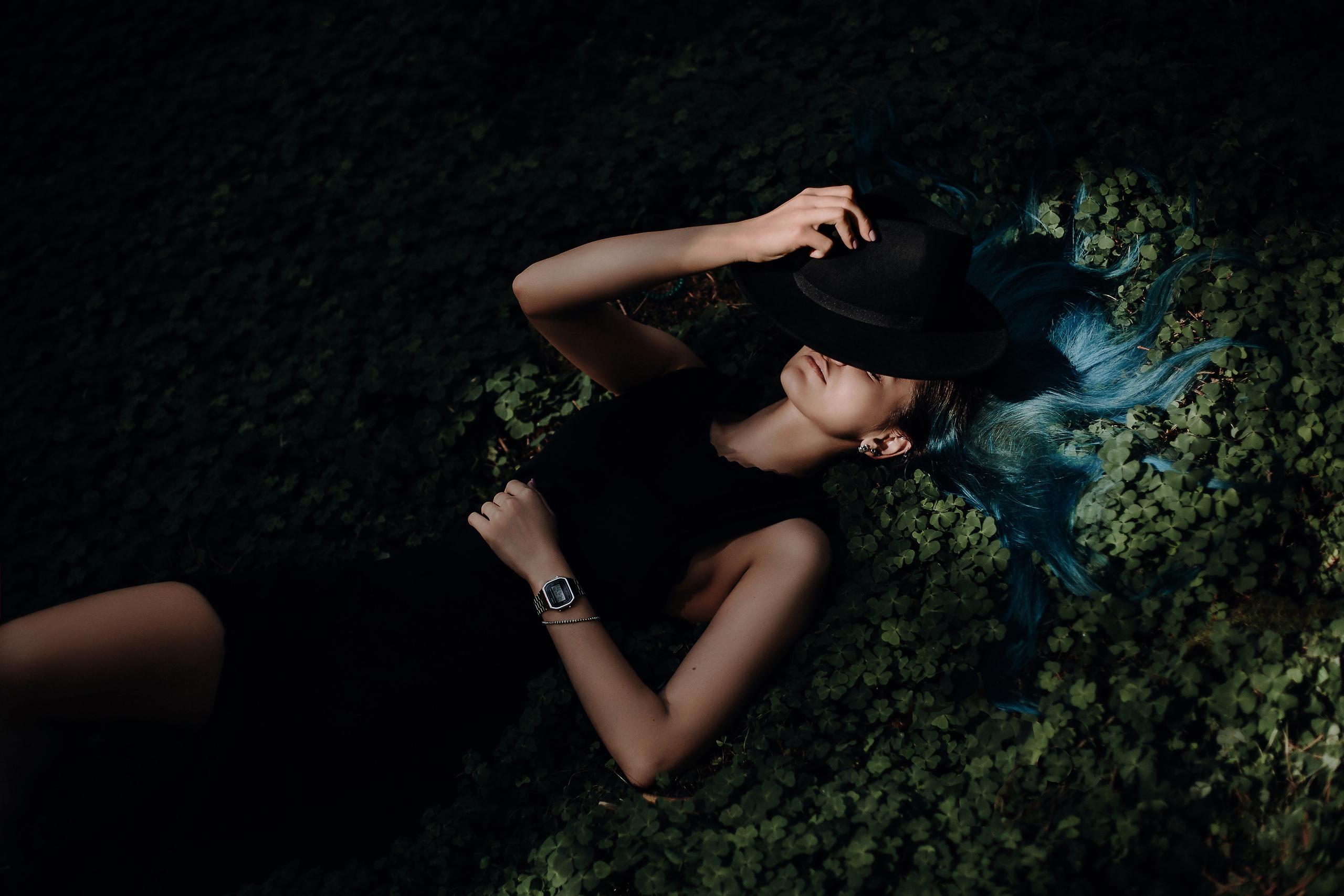 ОДНАЖДЫ В ЛЕСУ