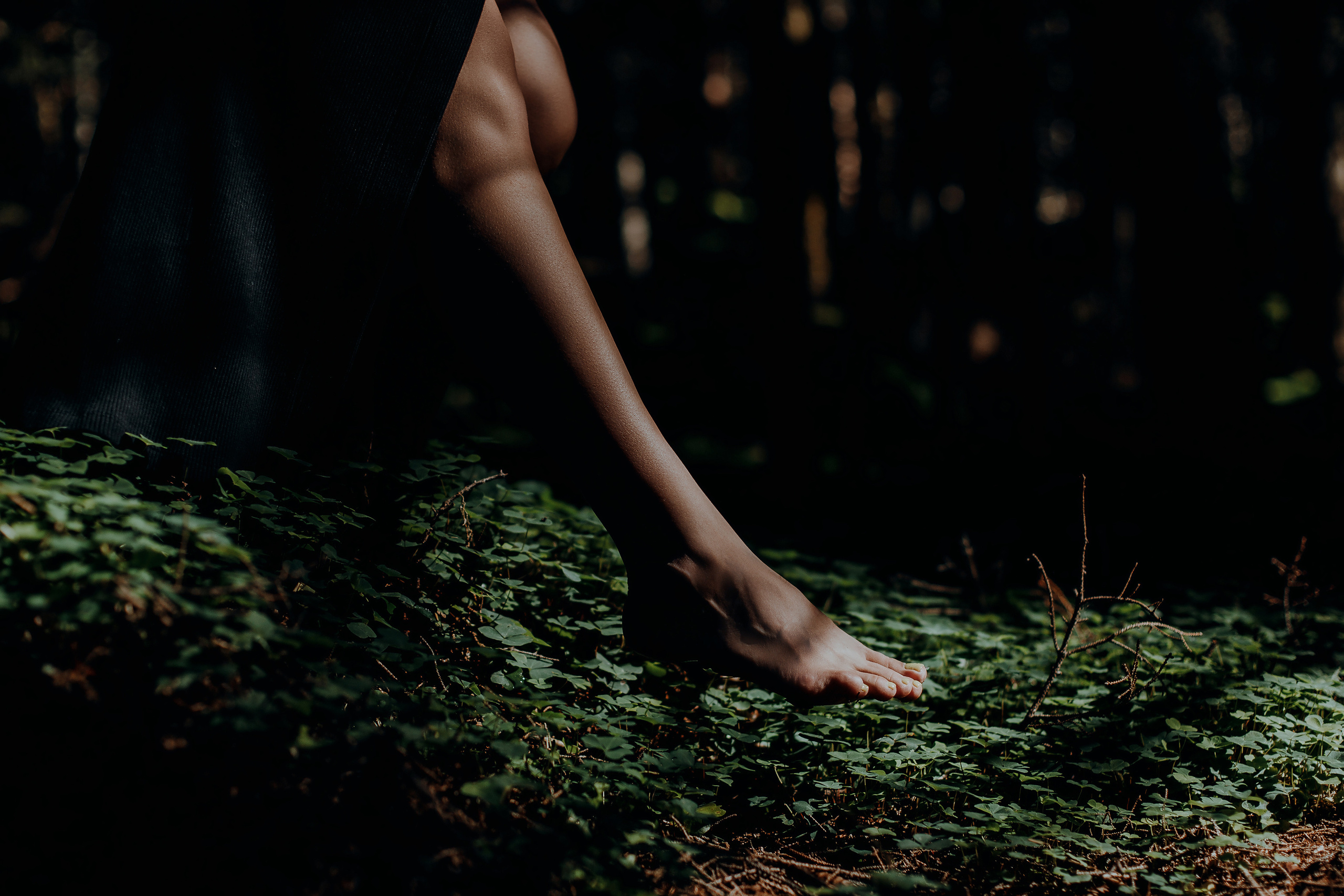 ОДНАЖДЫ В ЛЕСУ