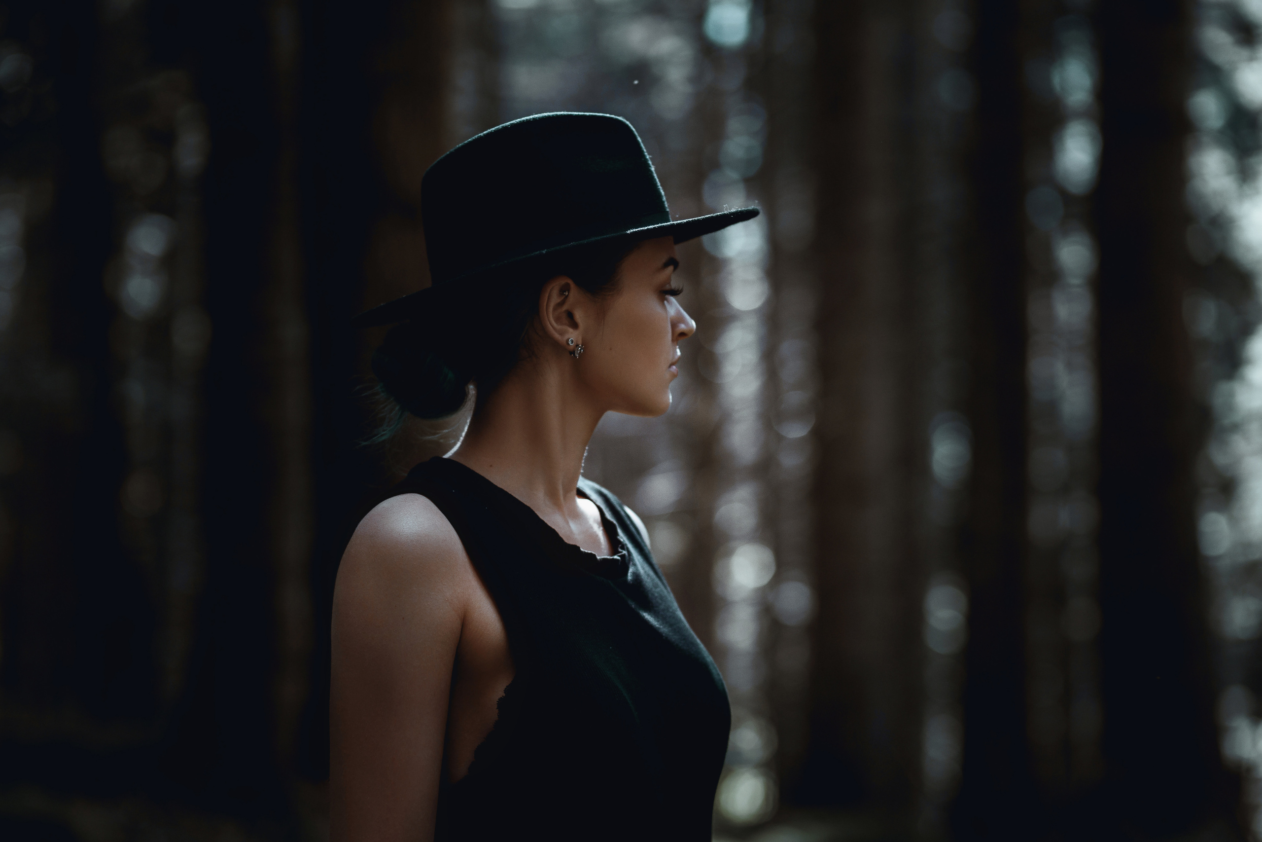 ОДНАЖДЫ В ЛЕСУ