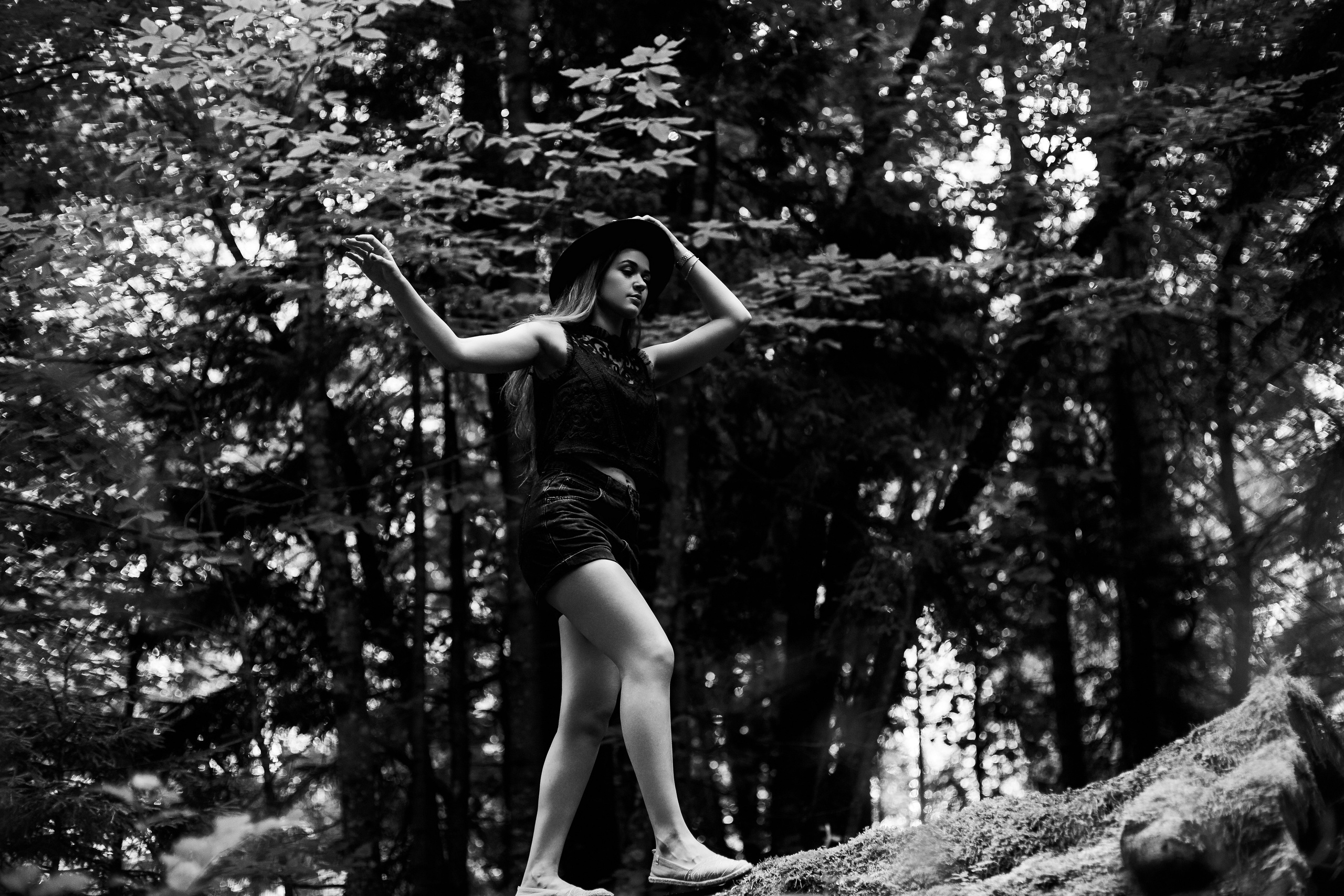 ОДНАЖДЫ В ЛЕСУ