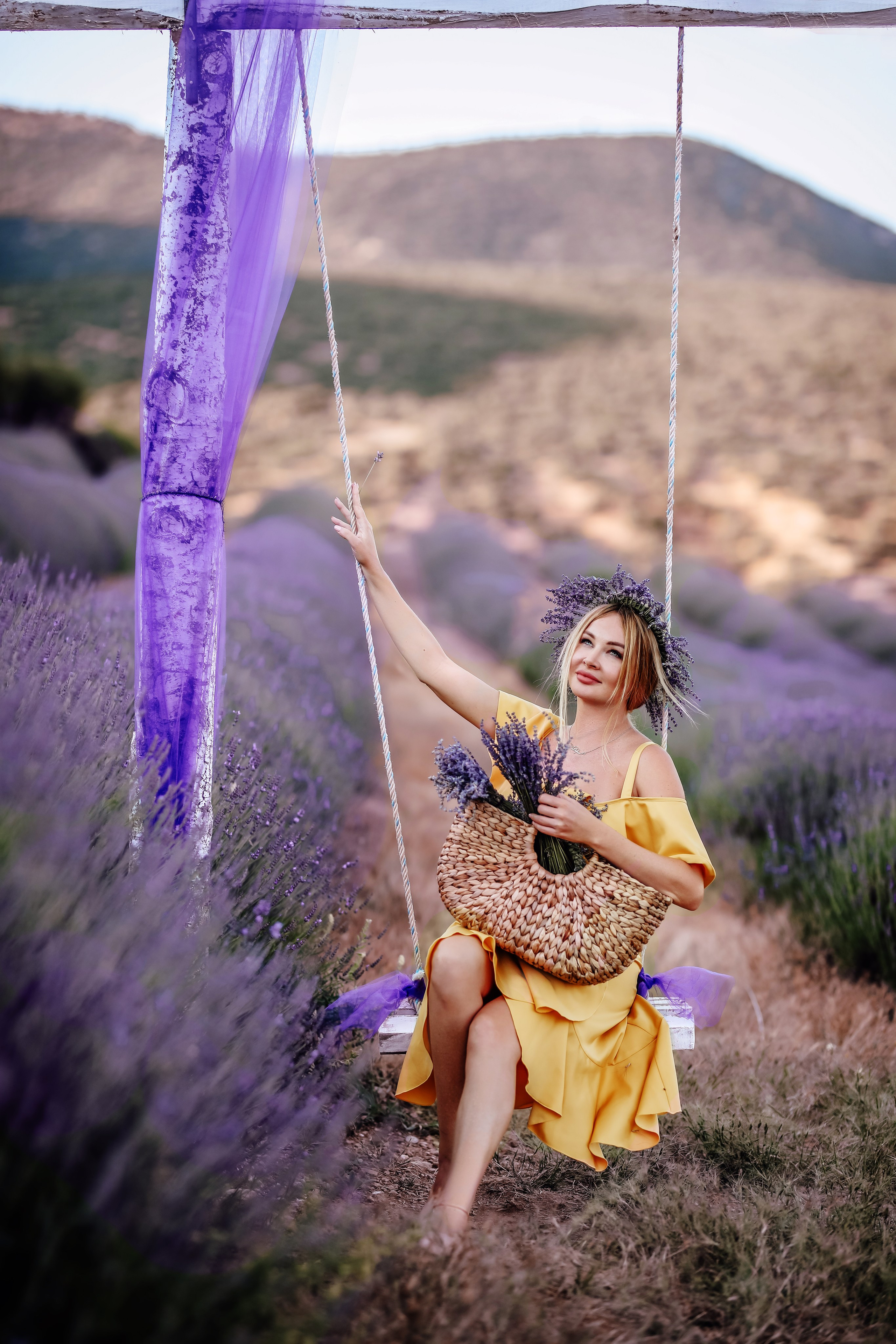 Lavender fields in Turkey