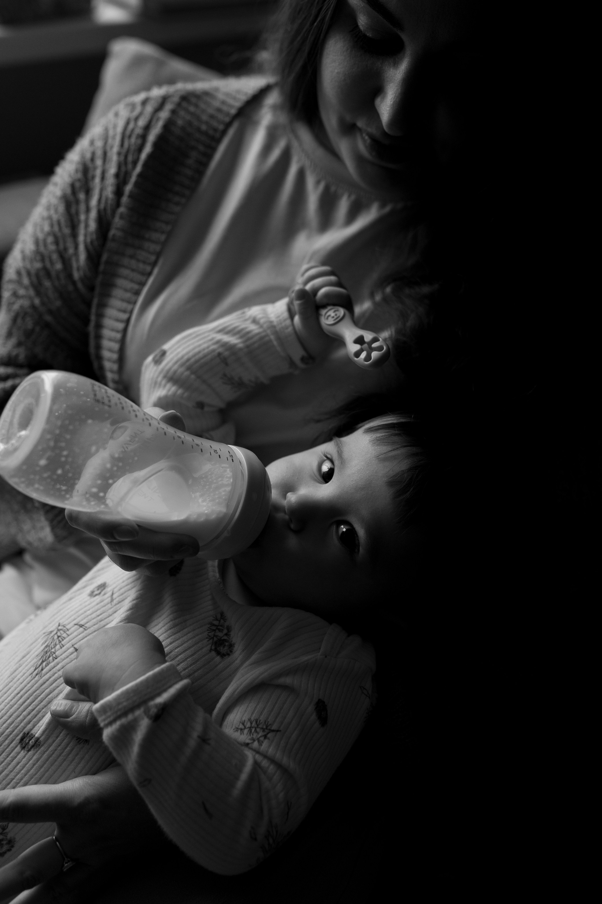 Домашняя история. Meryfotoidea