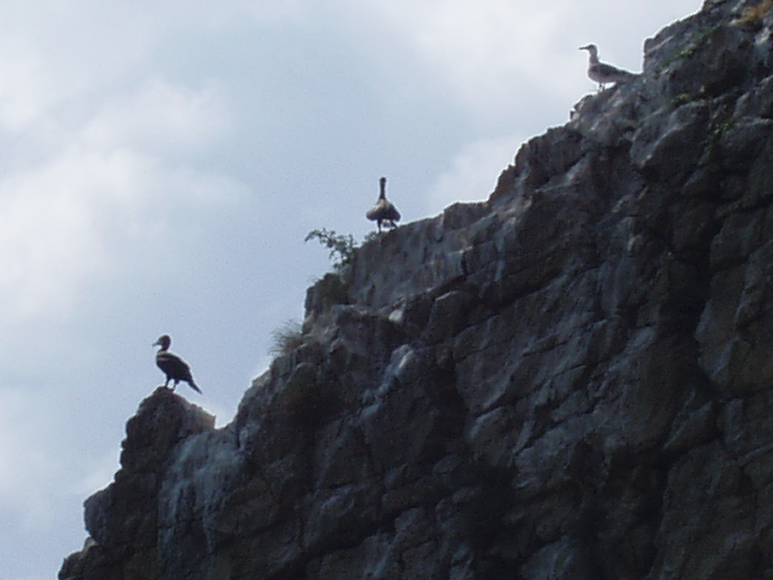 Отпуск 13.07-24.08. Семейный, Свадебный фотограф СПБ Питер— Романова Екатерина