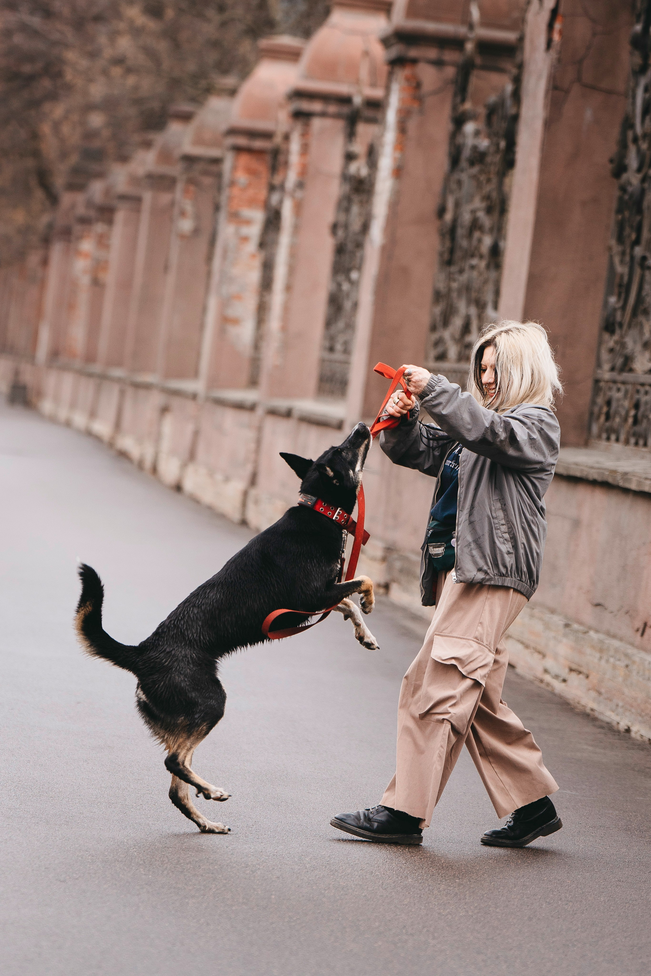 Эля и Шиза. Фотограф анималист в Спб недорого Олеся Майорова