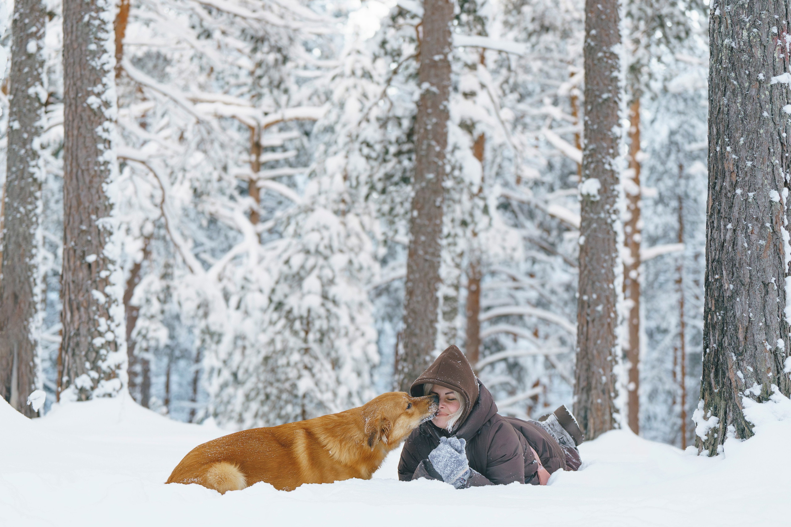 Рэй, Кузя, Ольга и Александр. Фотограф анималист в Спб недорого Олеся Майорова