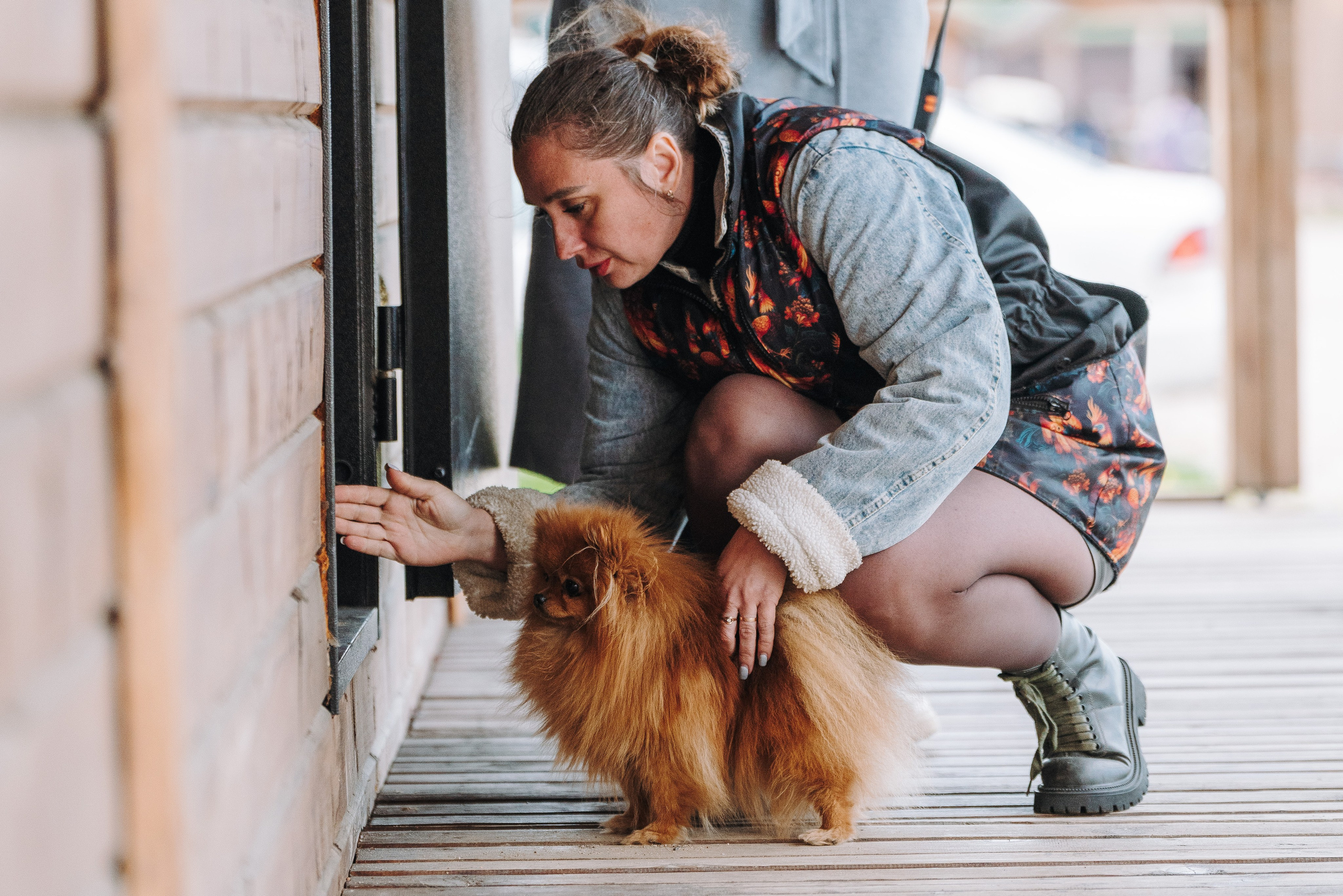 Соревнования по ноузворку в Лосево. Фотограф анималист в Спб недорого Олеся Майорова