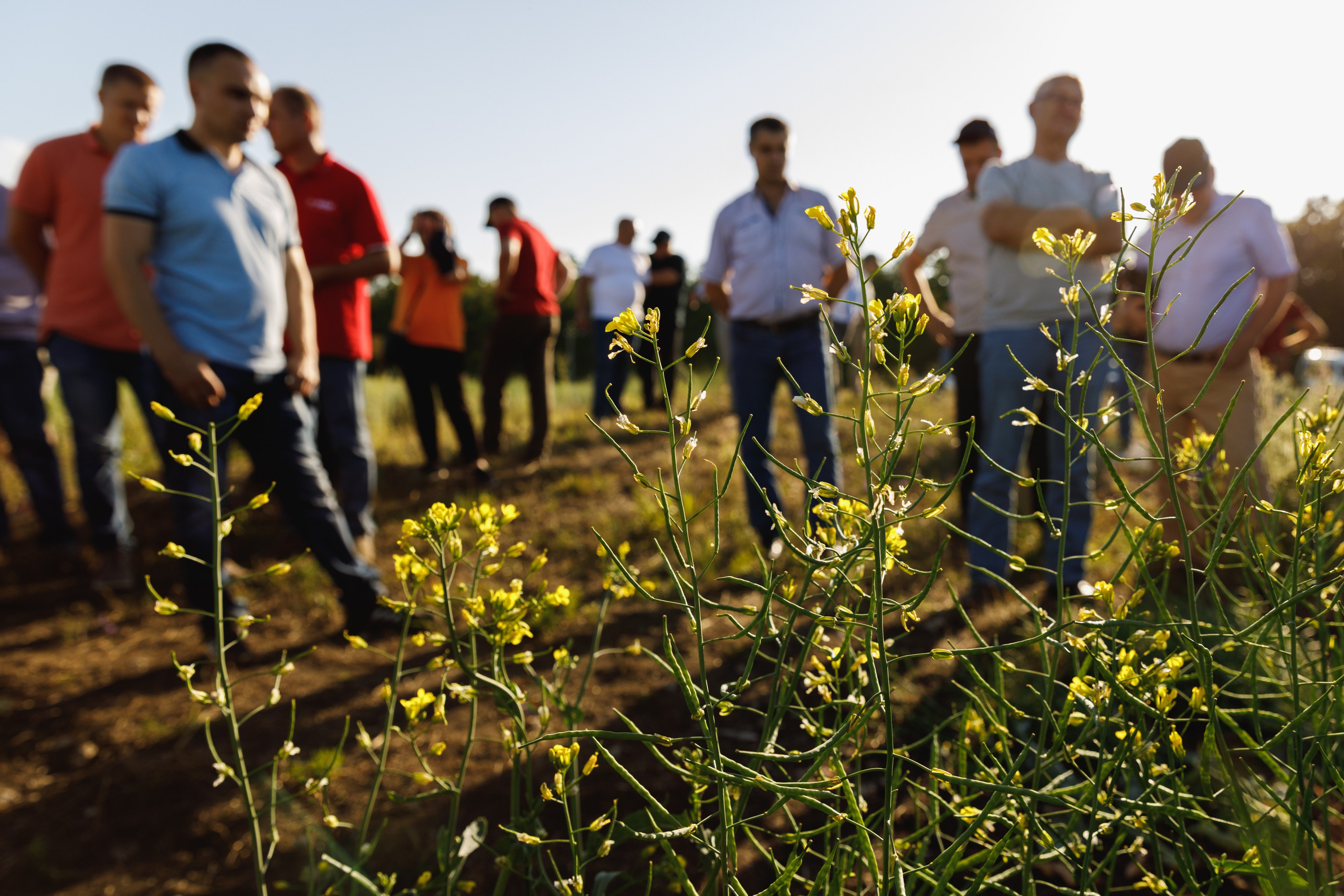 BASF. Конференция 2024. Фотограф Липецк. Фотограф в Липецке Татьяна Минаева. Портретный фотограф Липецк. Свадебный фотограф Липецк. Бизнес фотограф Липецк