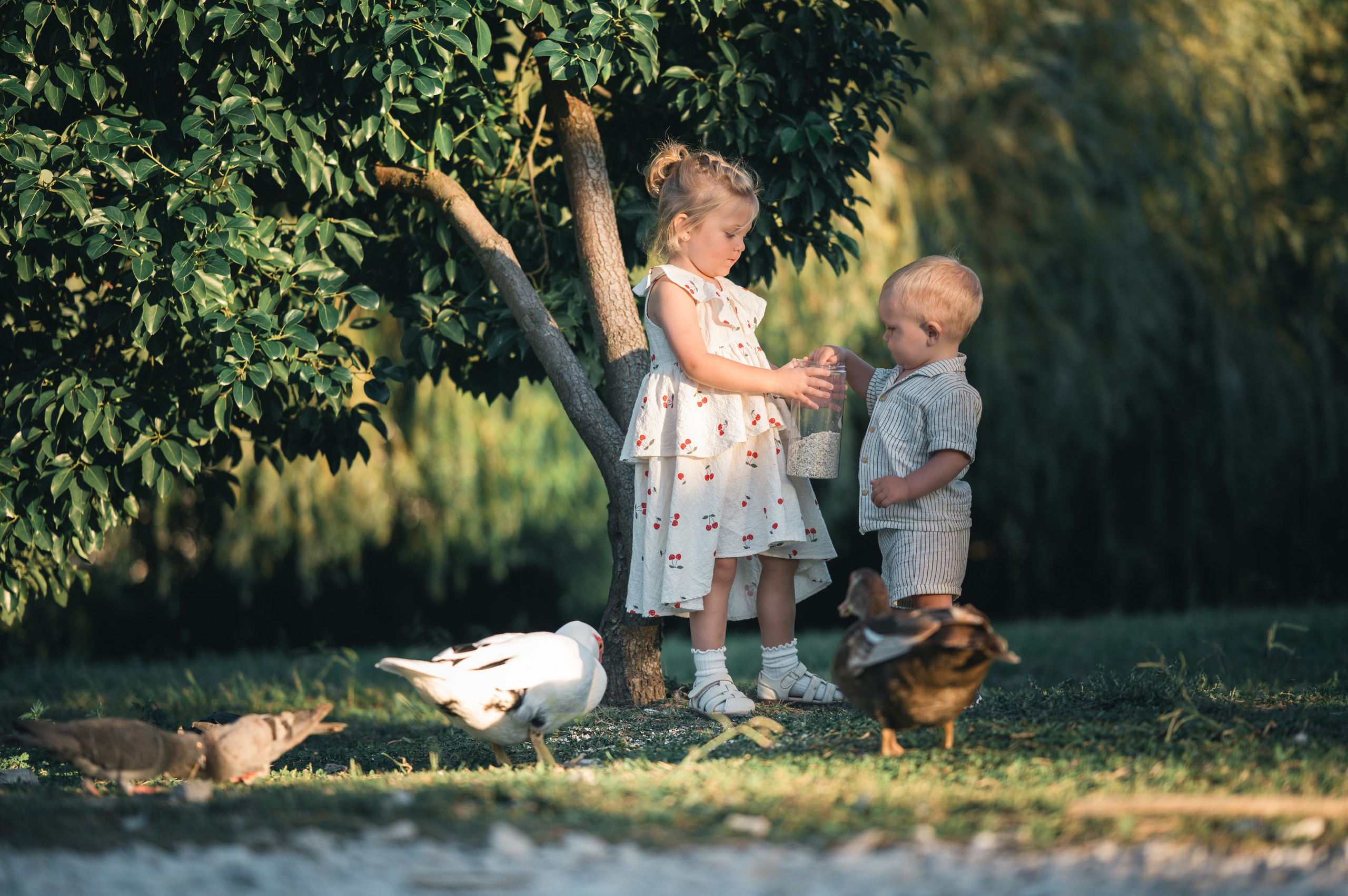 Семейное. Главная