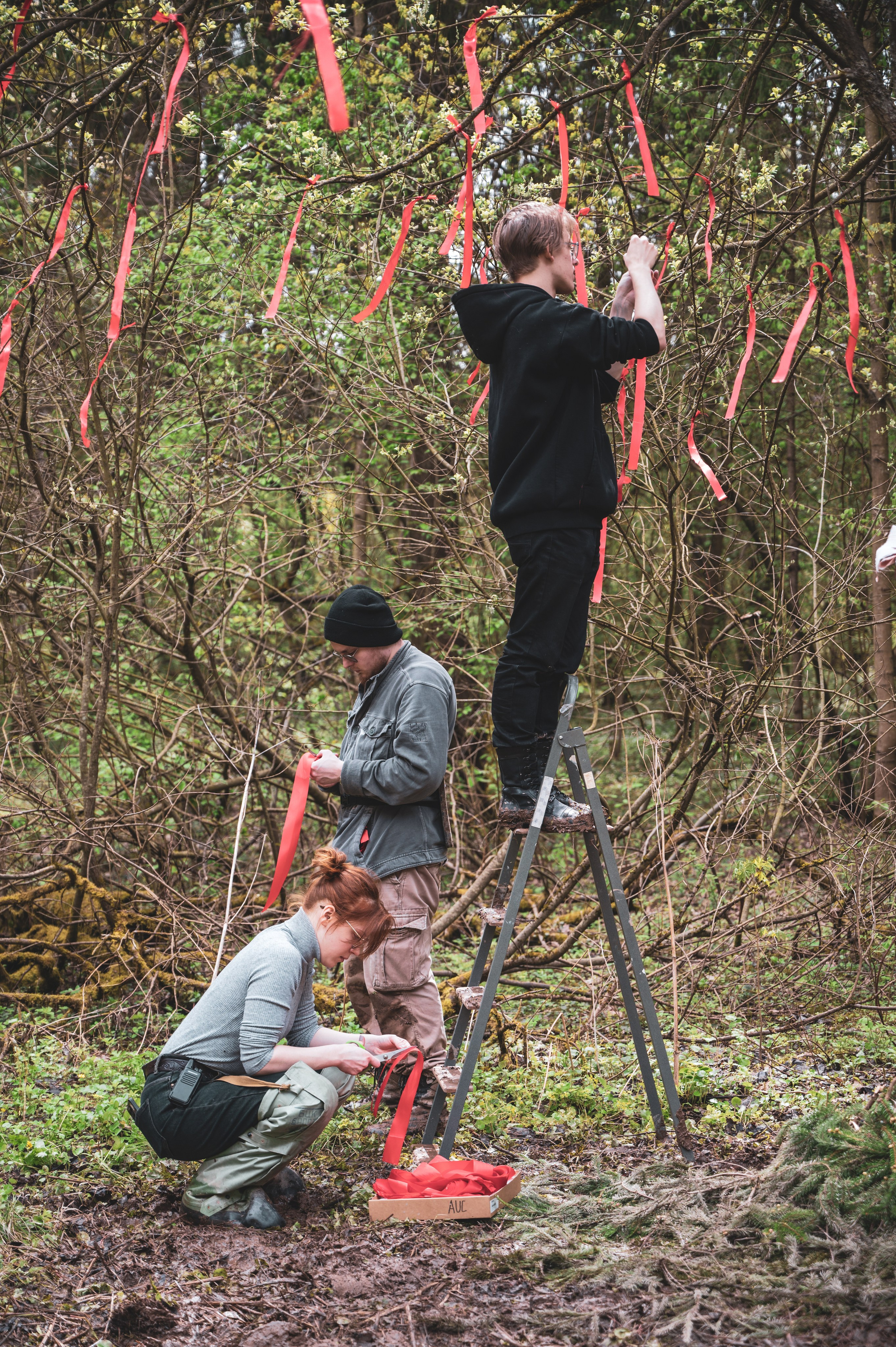 Красная Ленточка. Фотограф Мария