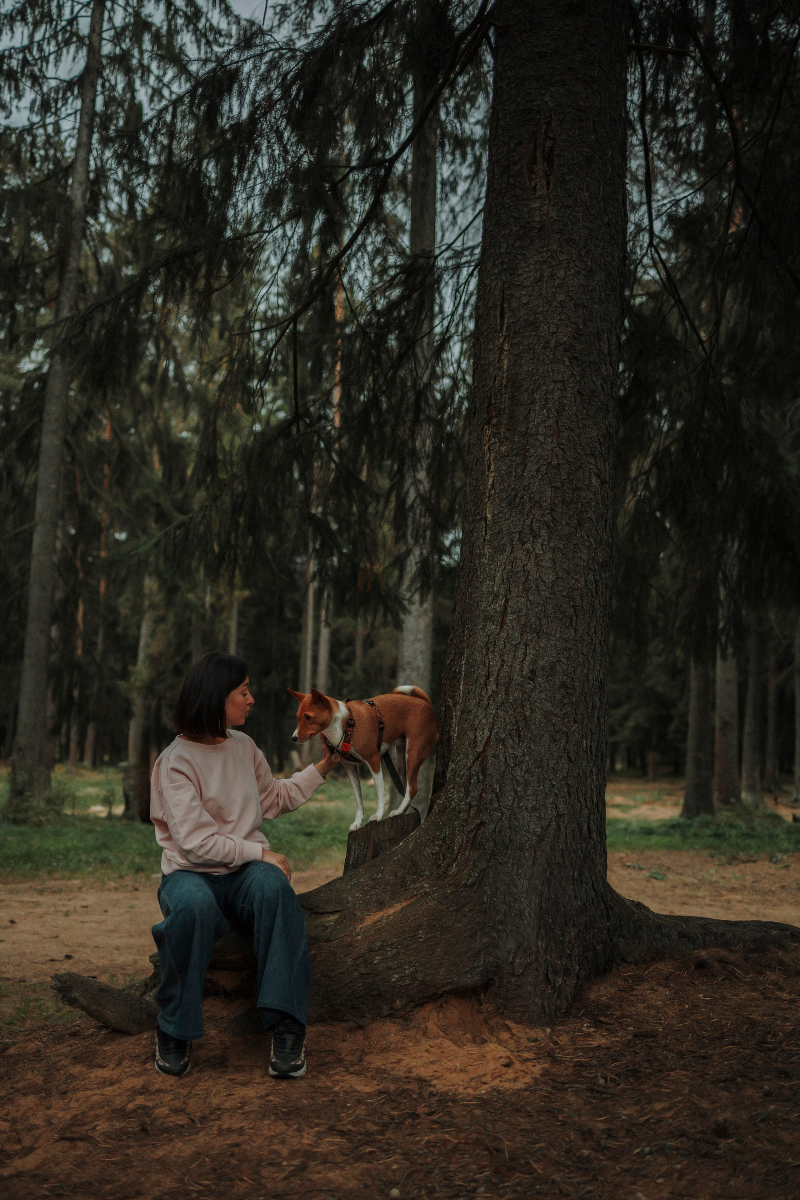 Даша и Лора. Фотограф-анималист в Санкт-Петеребурге Титова Алиса
