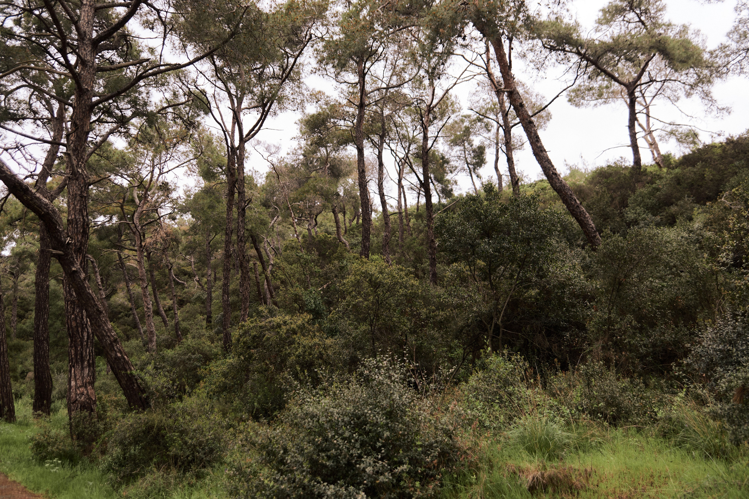 Улица горизонтальная. Jorgis — фотограф в Хургаде / обучение фотографии