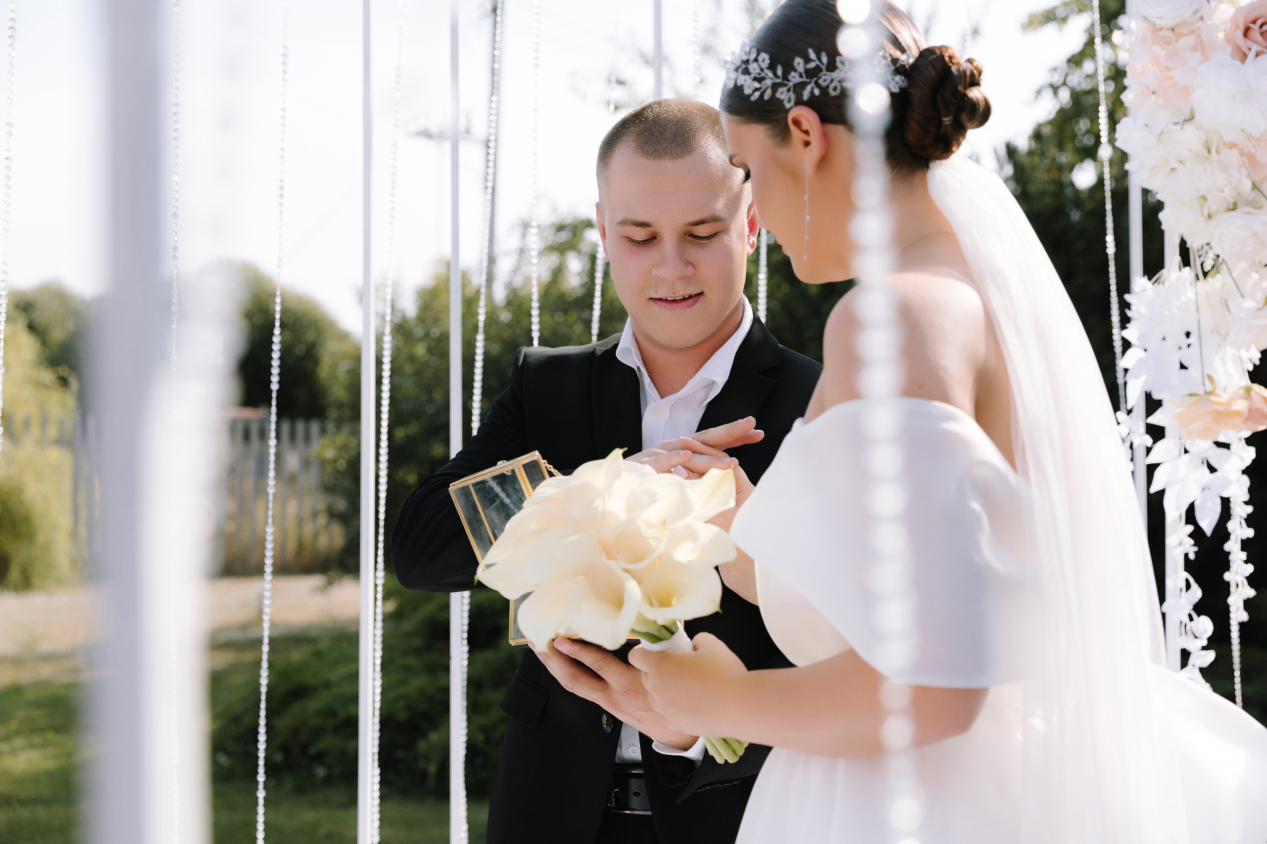 Бабочки. Фотограф Елена Краснопевцева