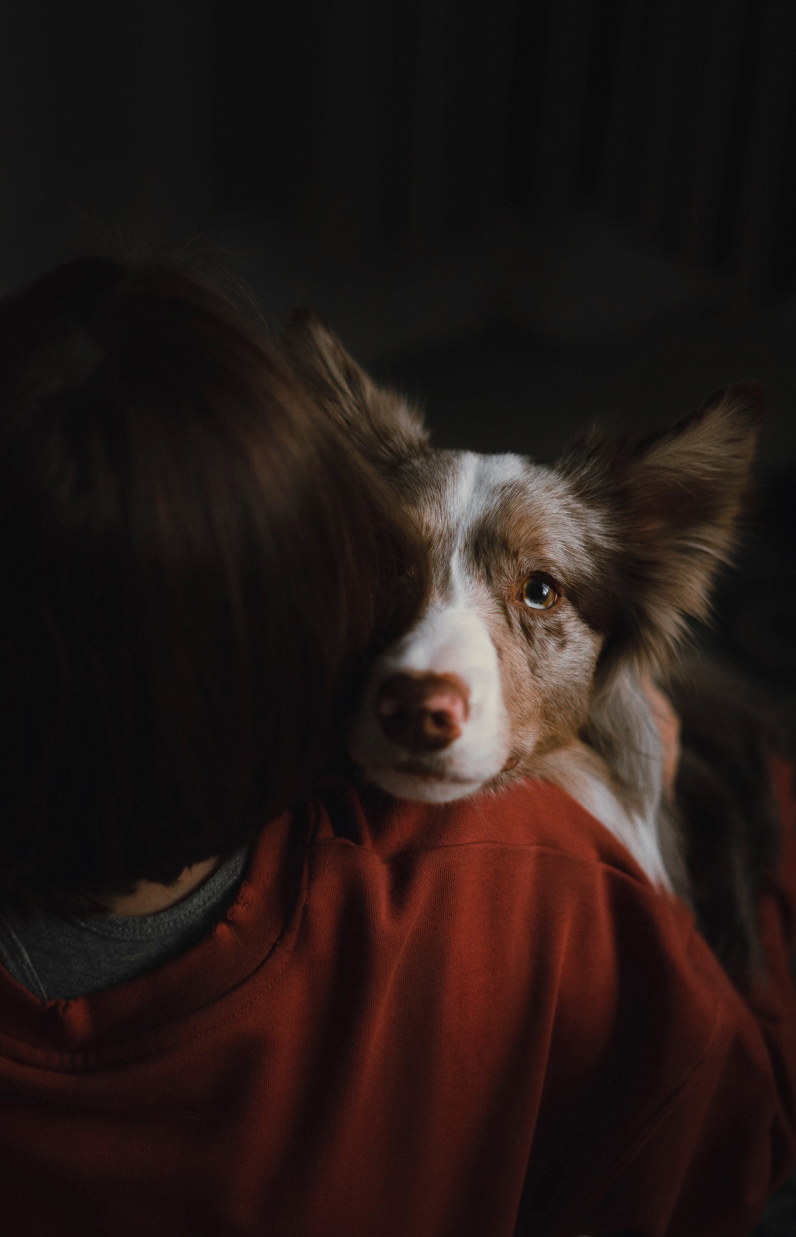 Аня и Дэймон. Фотограф-анималист Богданова Полина