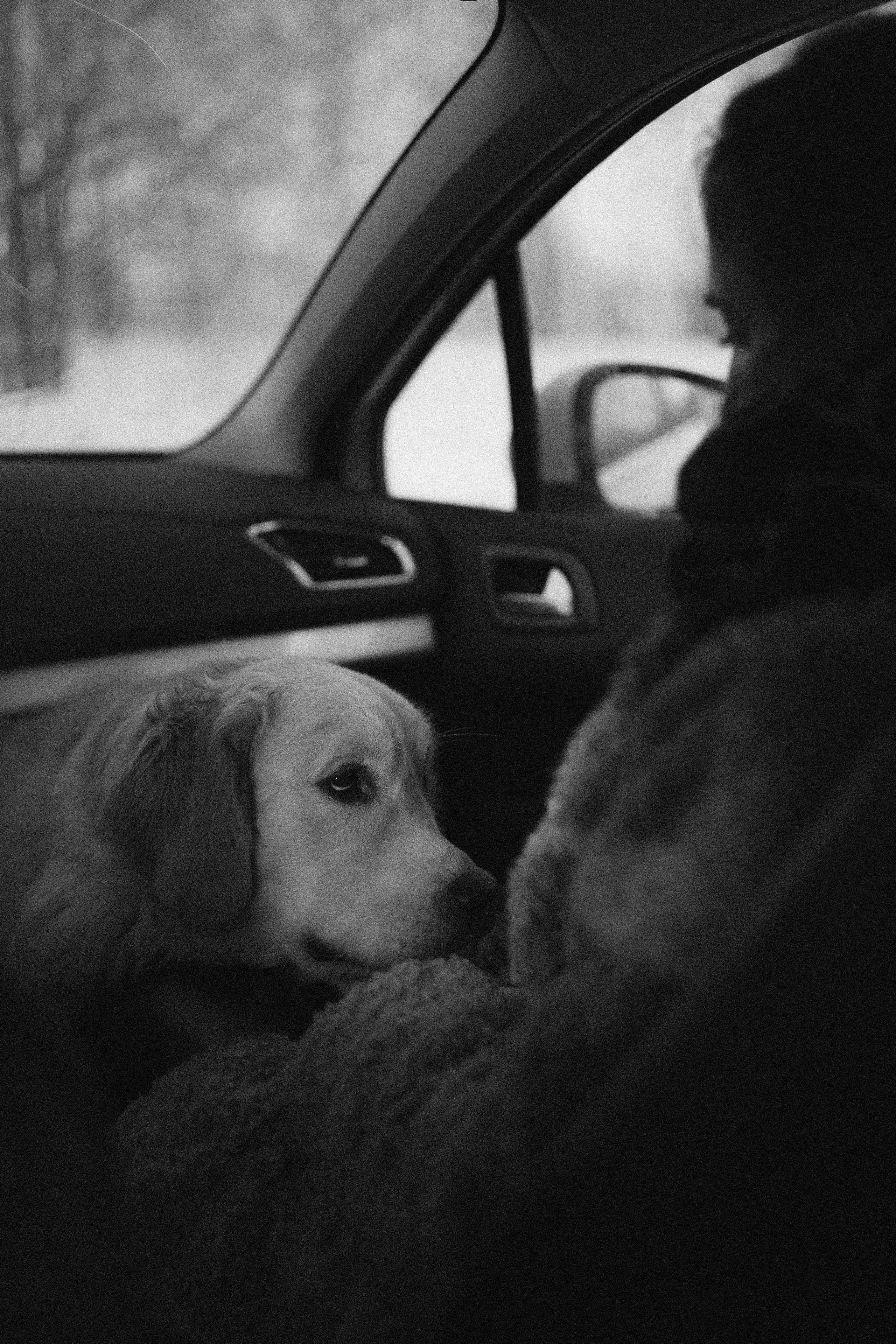 Лена и Декстер. Фотограф-анималист Богданова Полина