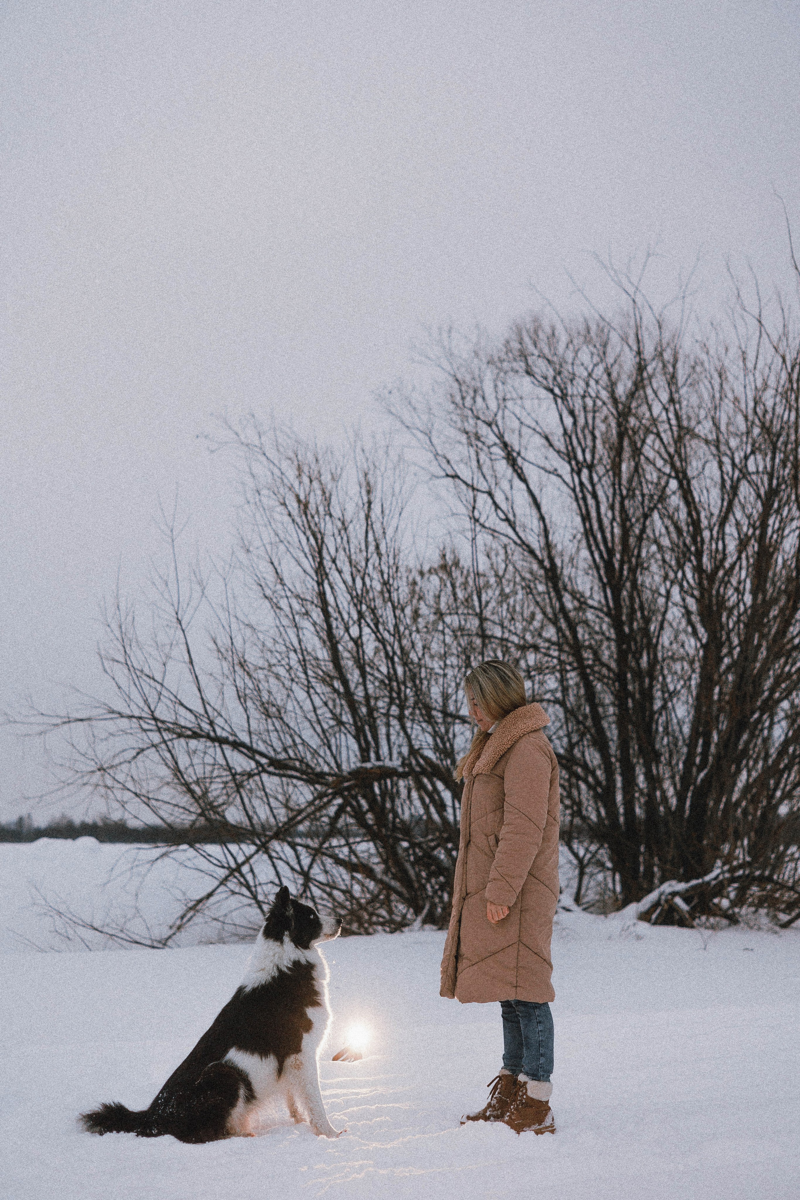 Анна и Тео. Фотограф-анималист Богданова Полина