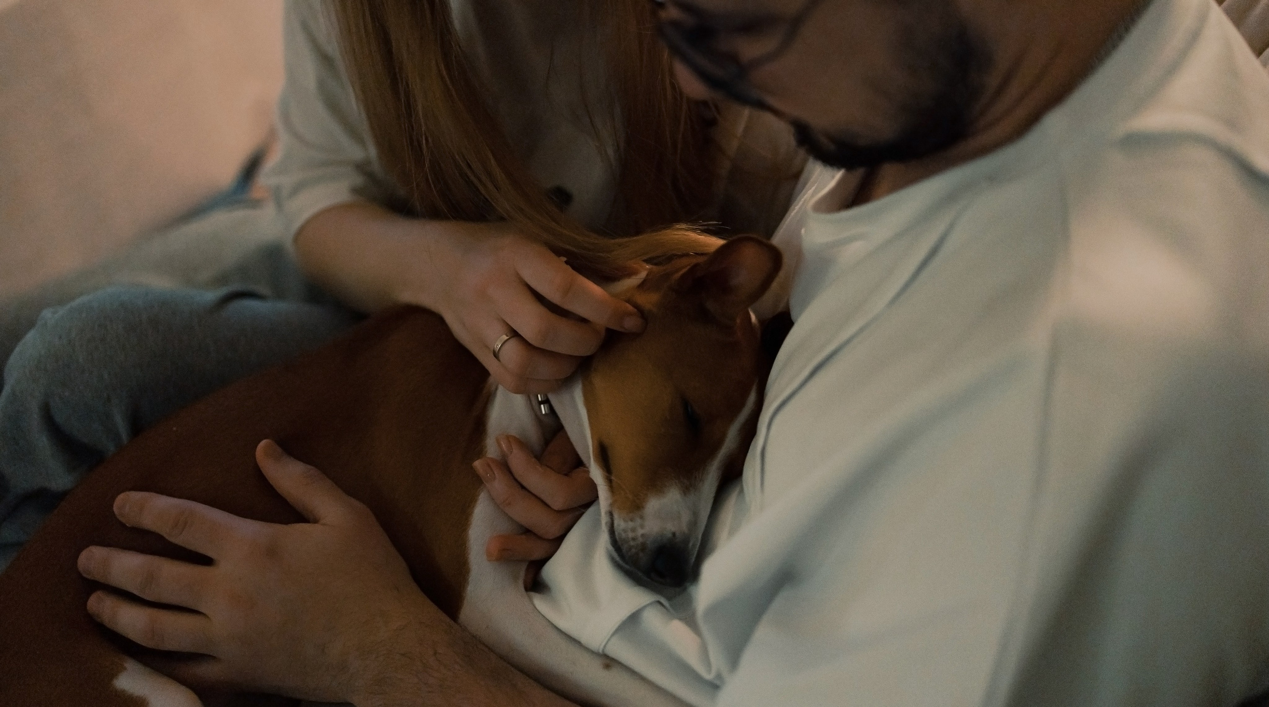 Люба, Никита и Бахати. Фотограф-анималист Богданова Полина