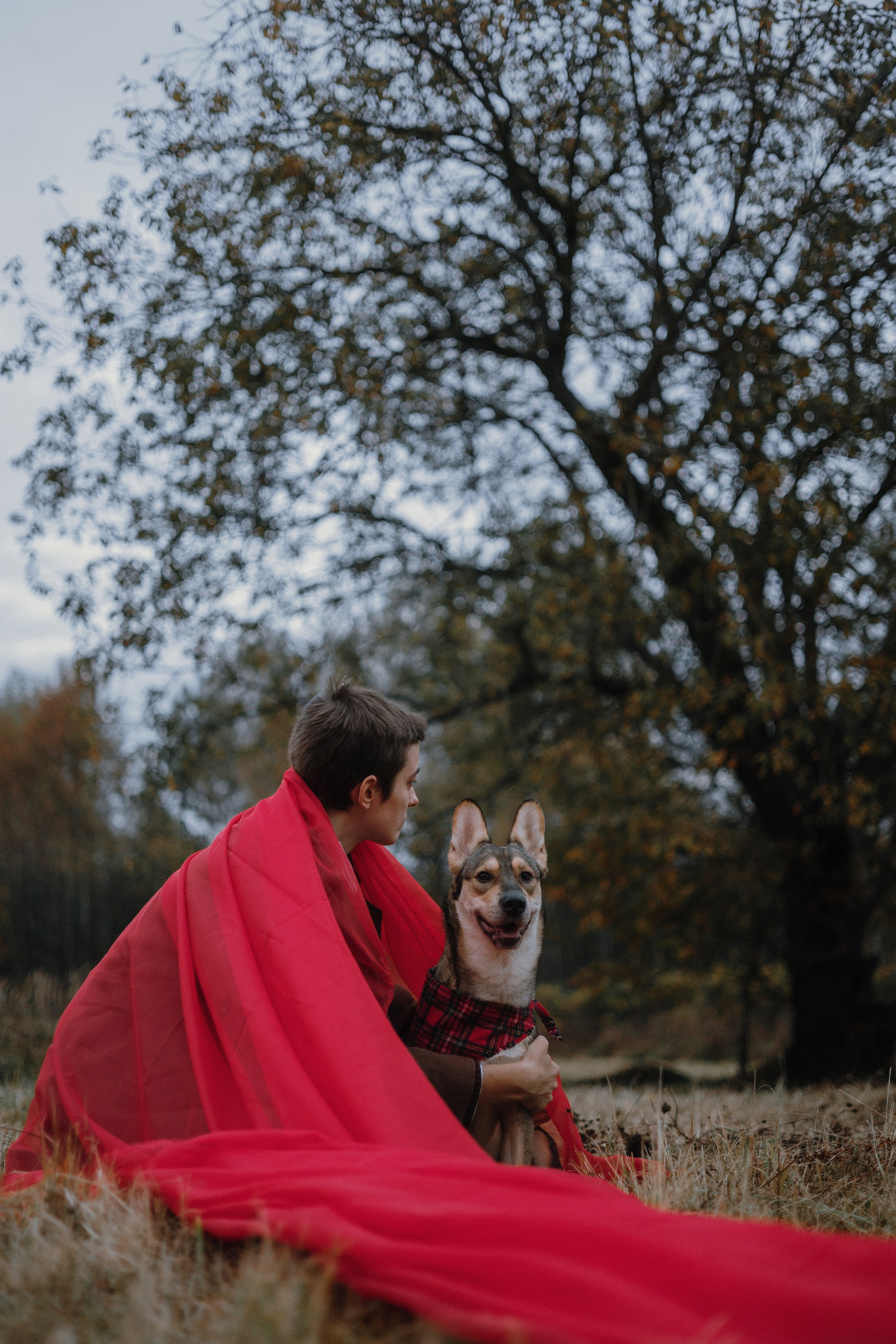 Маша, Катя, Астрид и Мася. Фотограф-анималист Богданова Полина