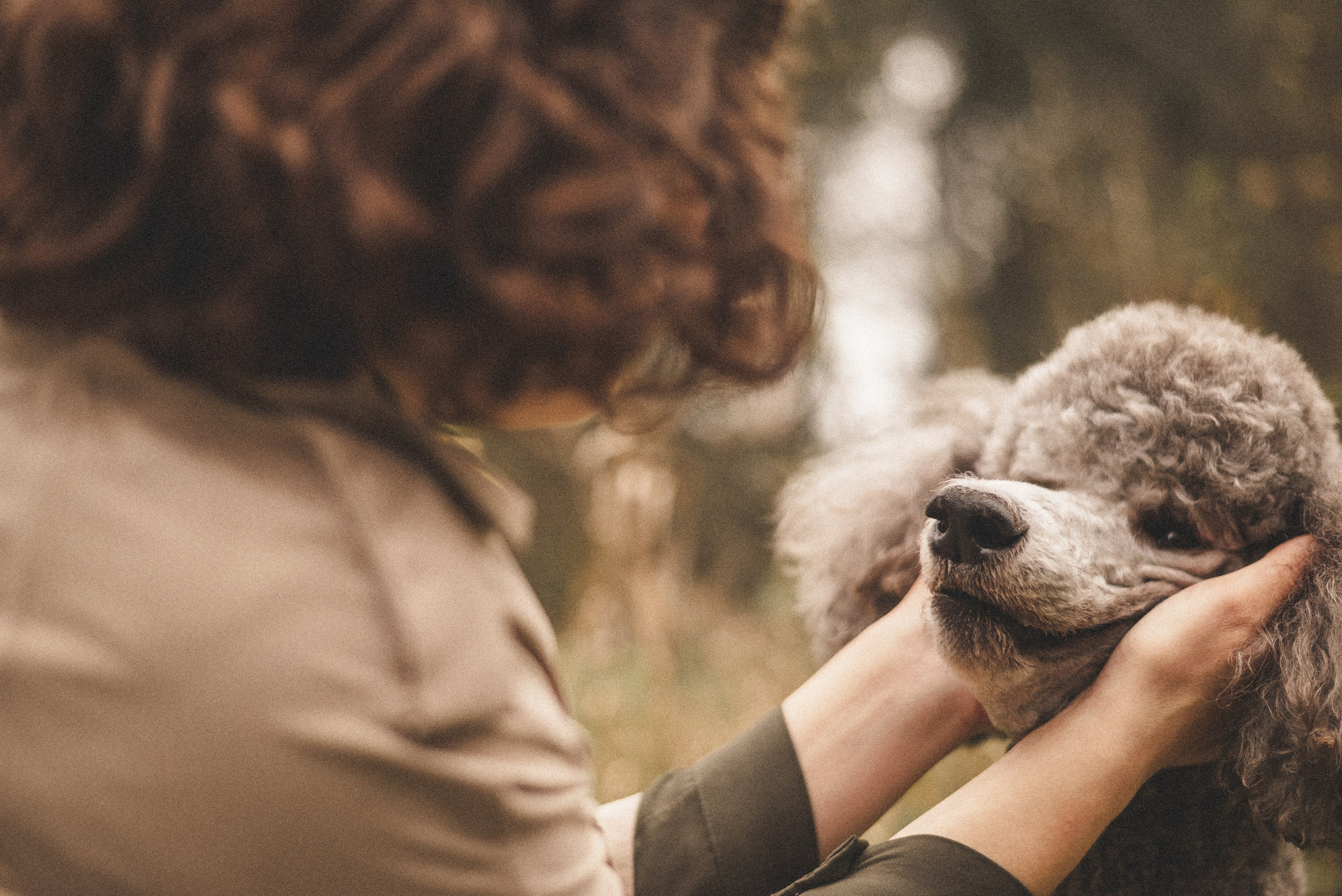Алёна и Смоки. Фотограф-анималист Богданова Полина