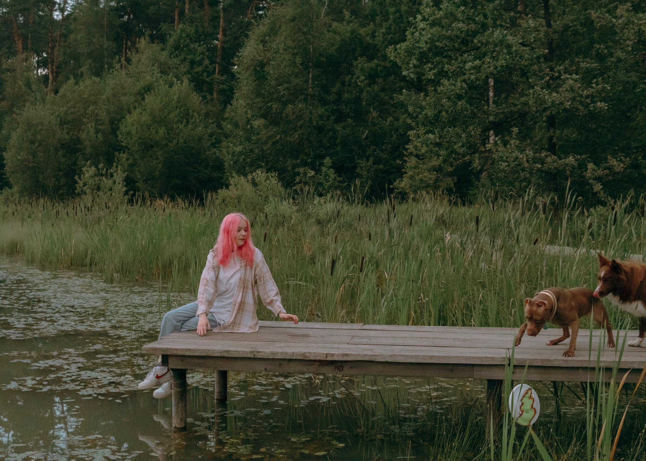 Виолетта, Лила и Питер. Фотограф-анималист Ксения Воробьева, Москва