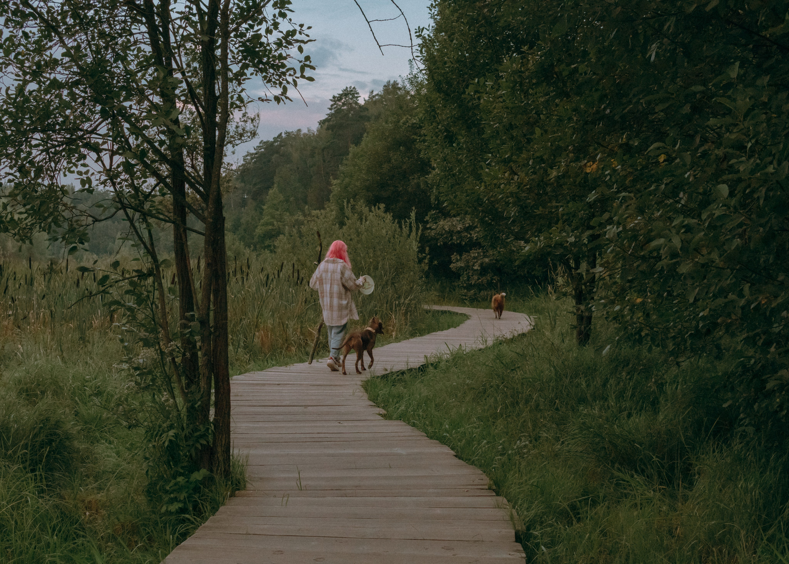 Виолетта, Лила и Питер. Фотограф-анималист Ксения Воробьева, Москва