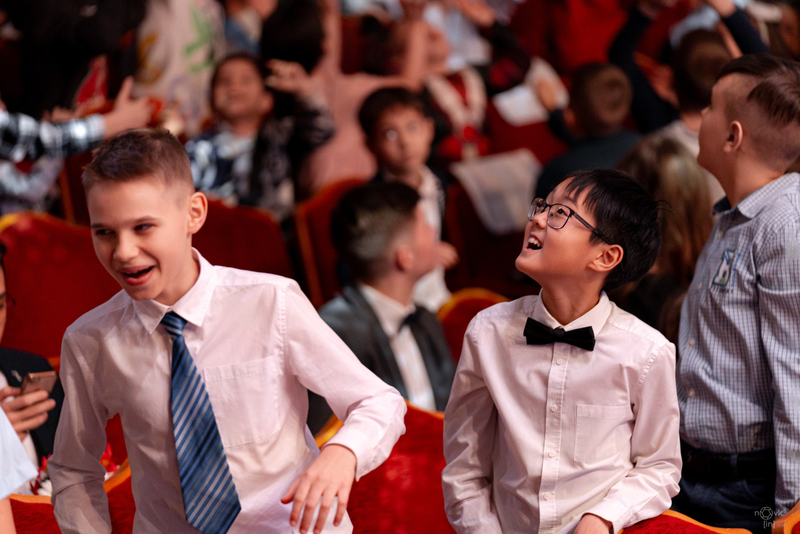 Ёлка. ФОТОГРАФ ИВАН НОВИКОВ | СТАВРОПОЛЬ