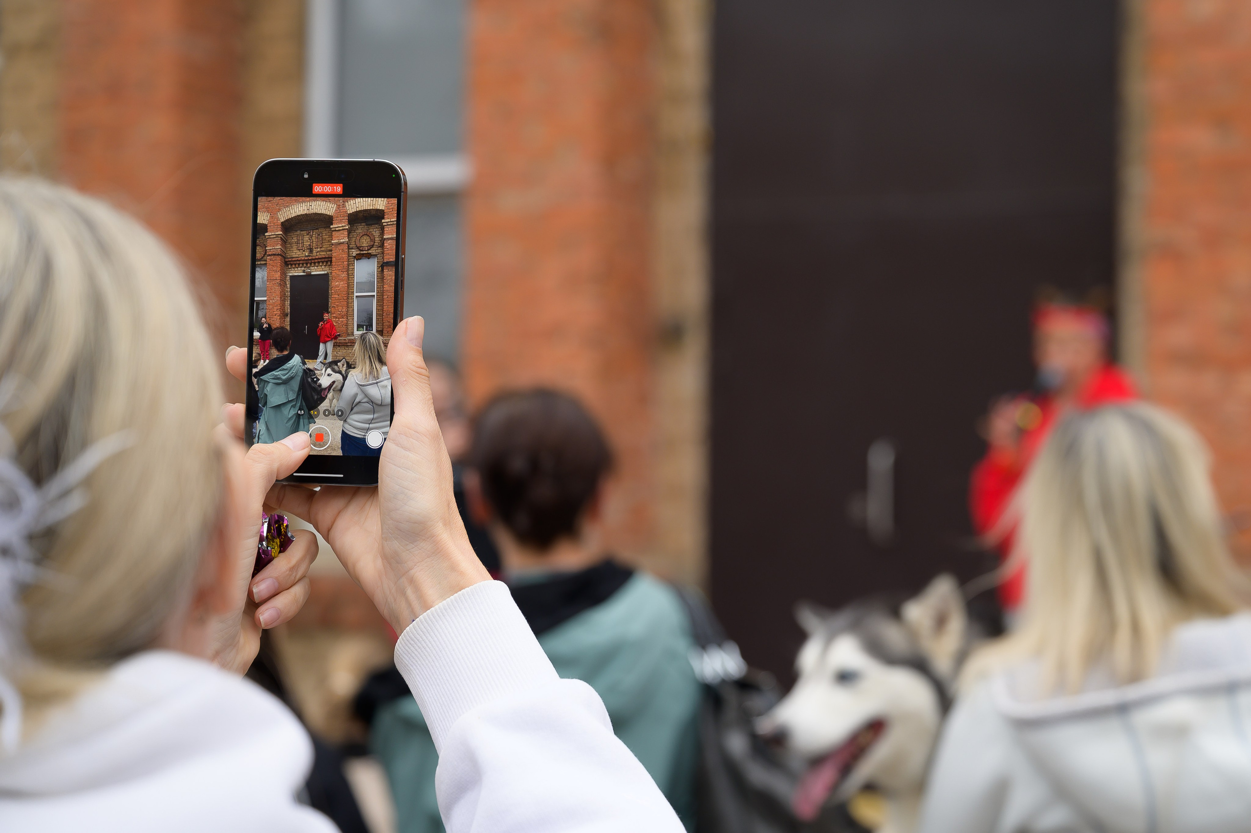 Открытие приюта для собак породы Хаски «Хаски дом»