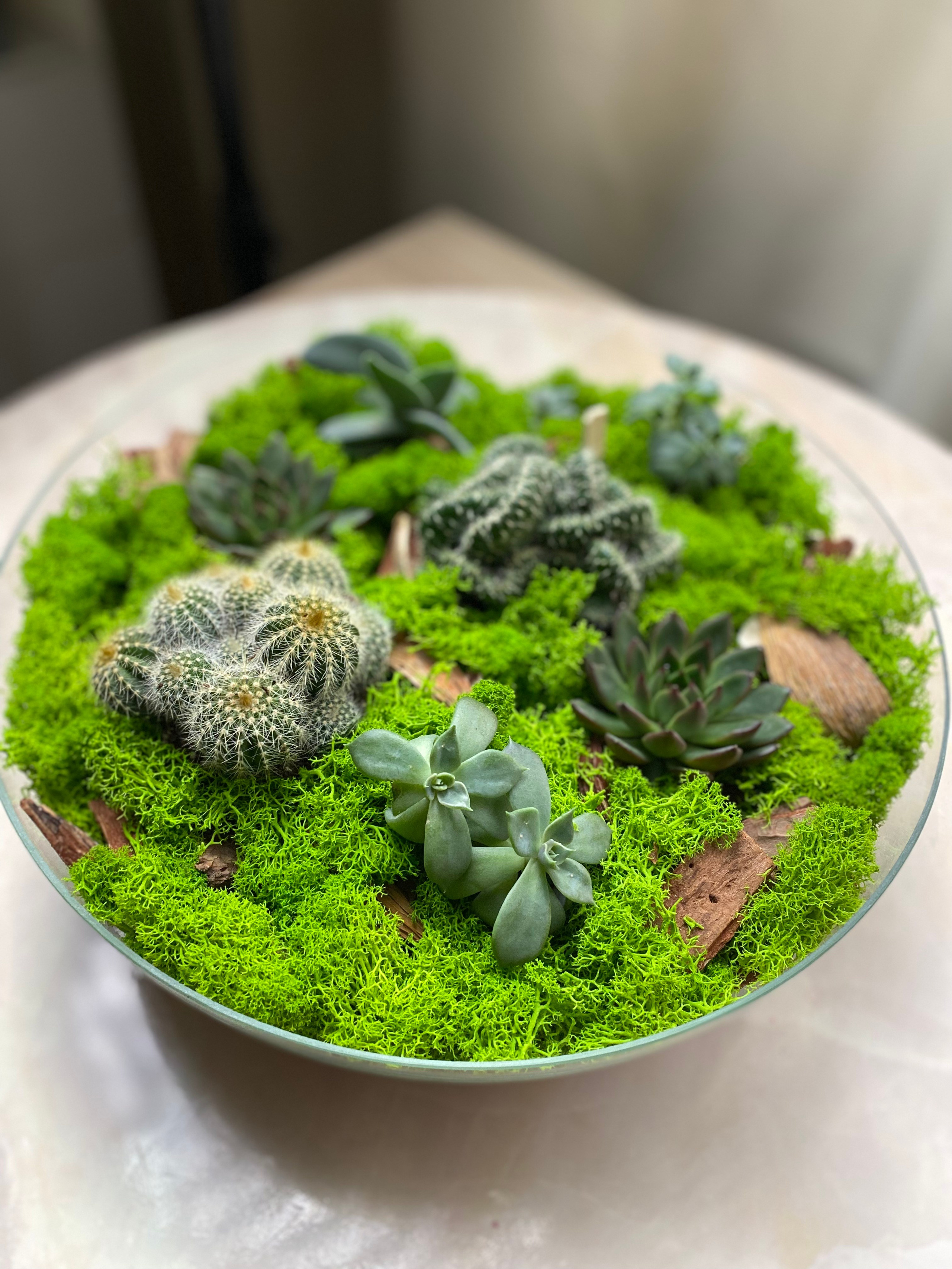 Не съедобные. Выездной кейтеринг, съедобные букеты, торты и сладости на заказ