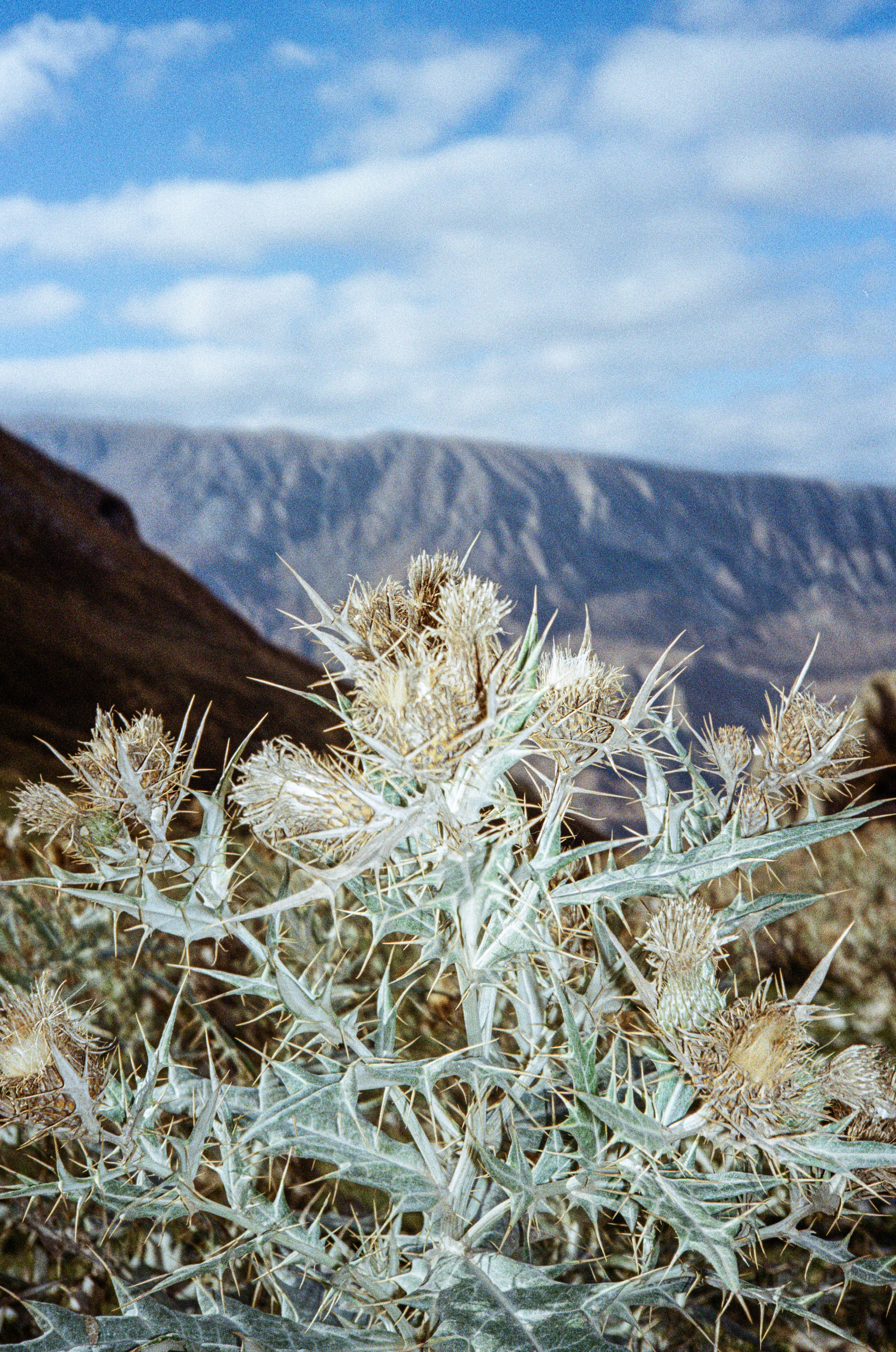 Для @oth.ers. Портретный и ивент-фотограф в Москве