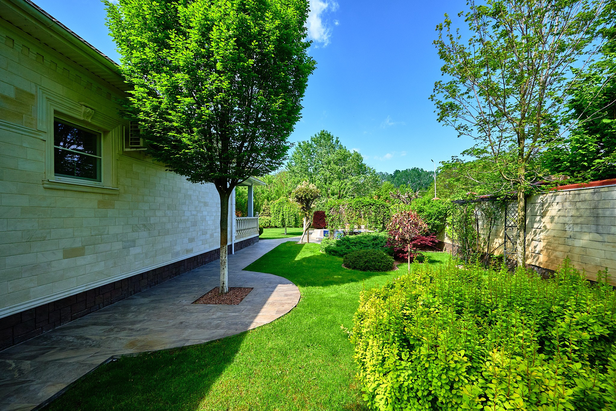 поле из кустов 