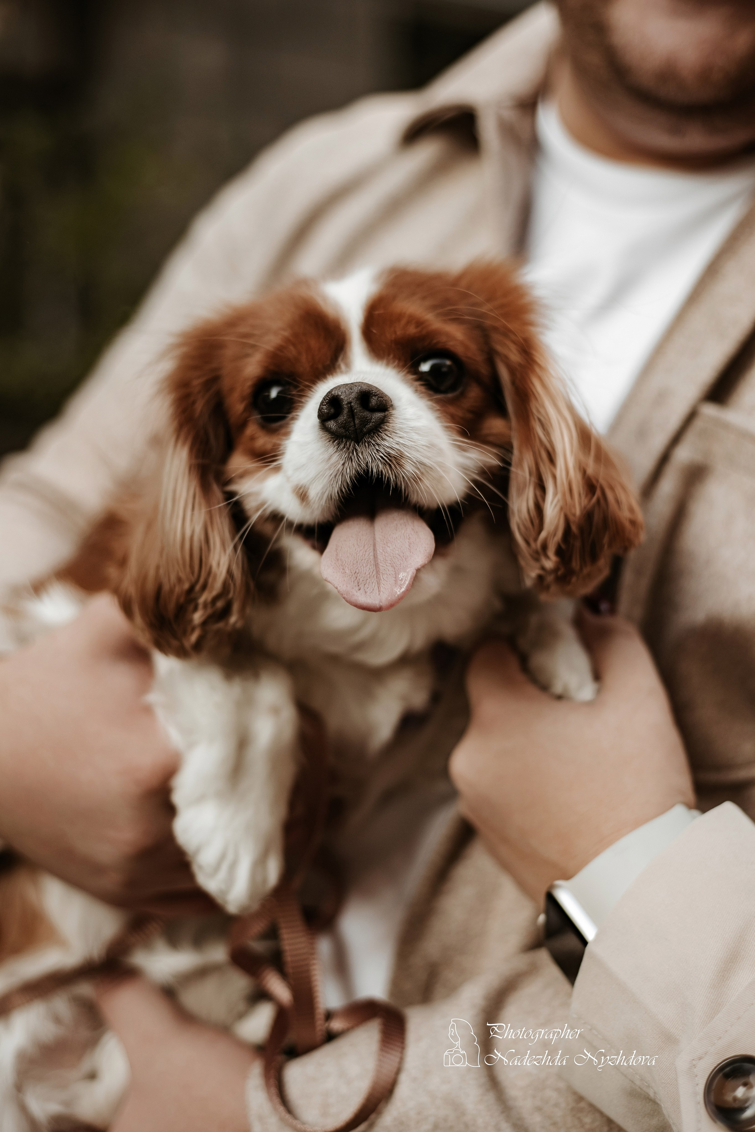 Осенняя прогулка с Каролиной, Владиславом и Асти ♡. Свадебный фотограф в Санкт-Петербурге Надежда Нуждова