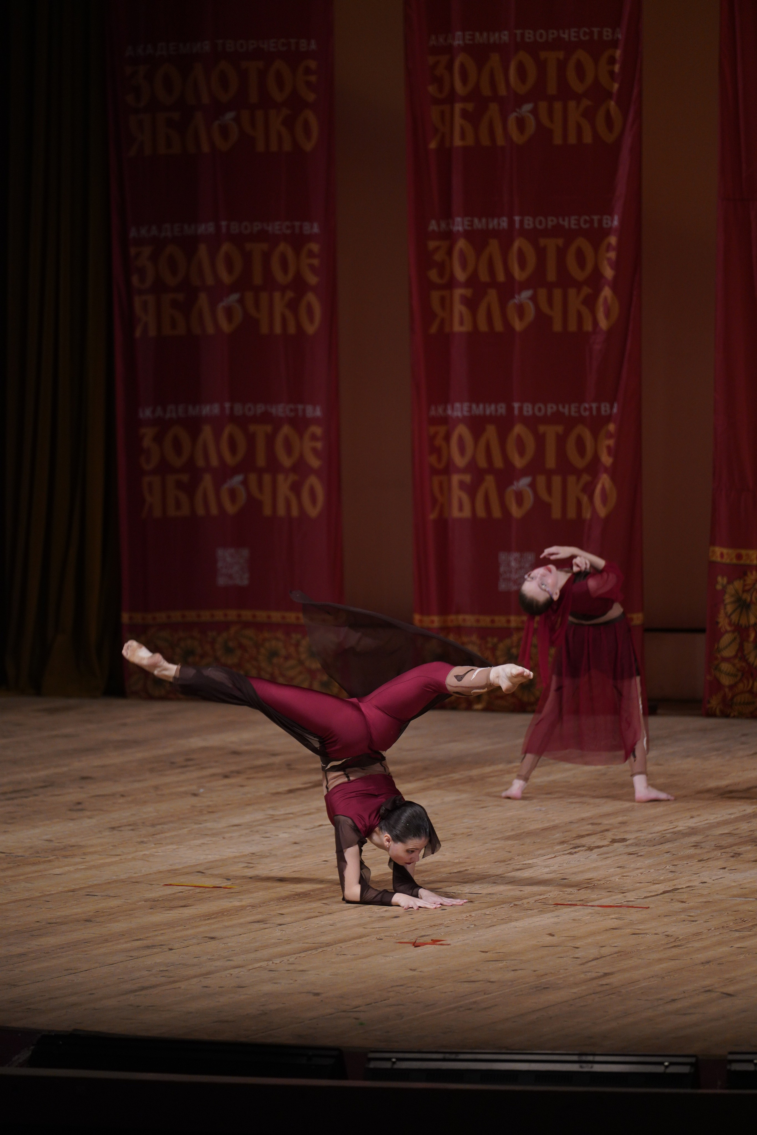 24 ноября, г. Санкт-Петербург. Золотое яблочко