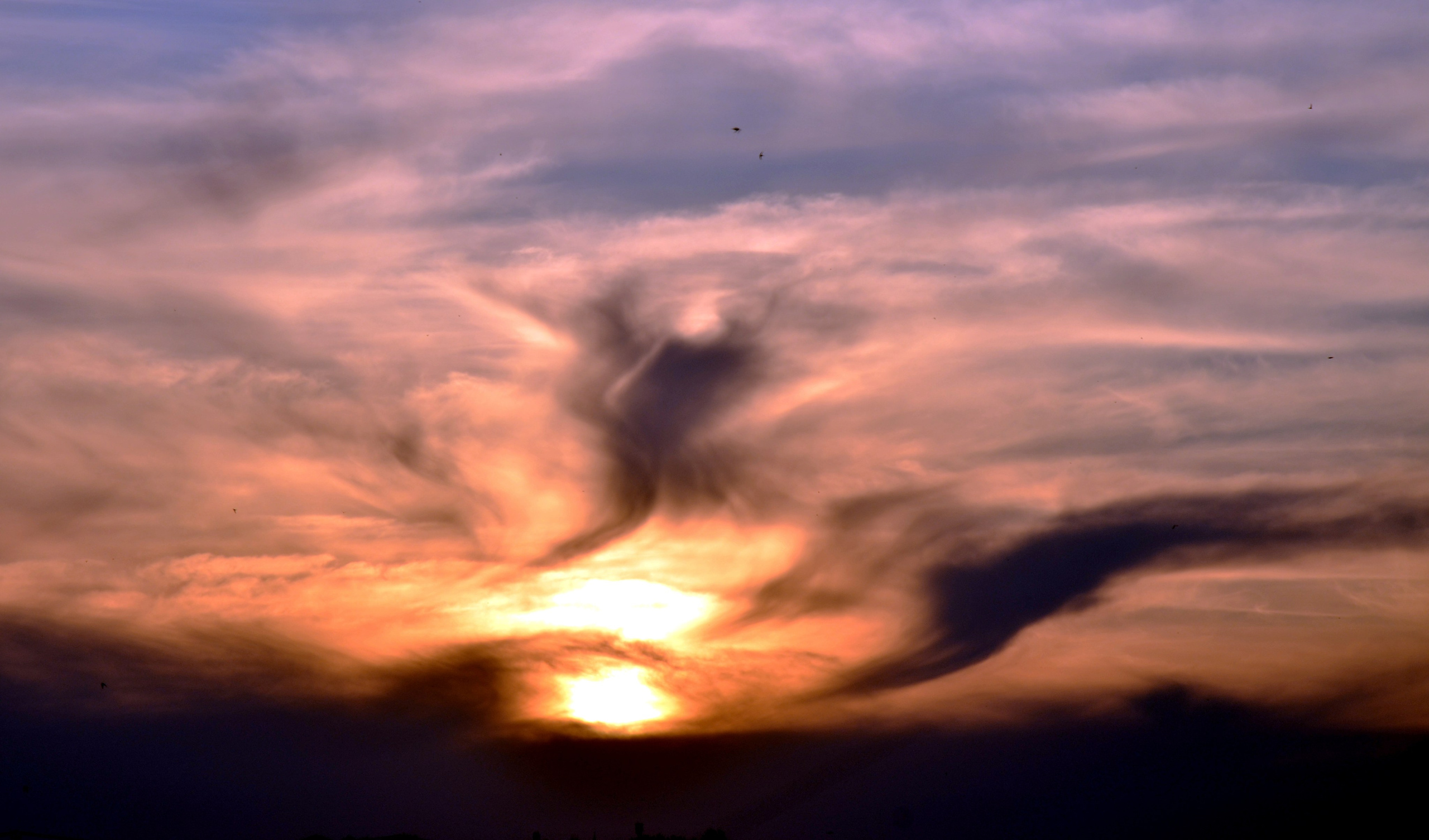 Дары природы. Фотограф viktor viktor