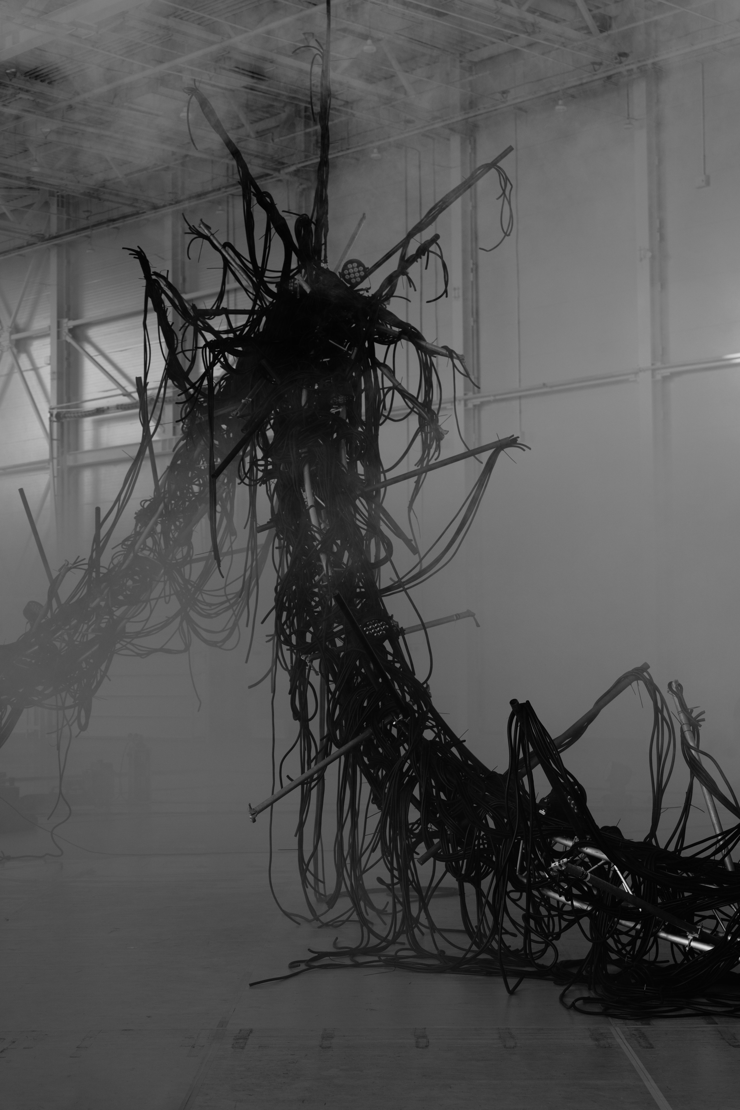 PANTERRA, CHRONOMORPH 001. @tomrus: Рустам Шагиморданов — фотограф