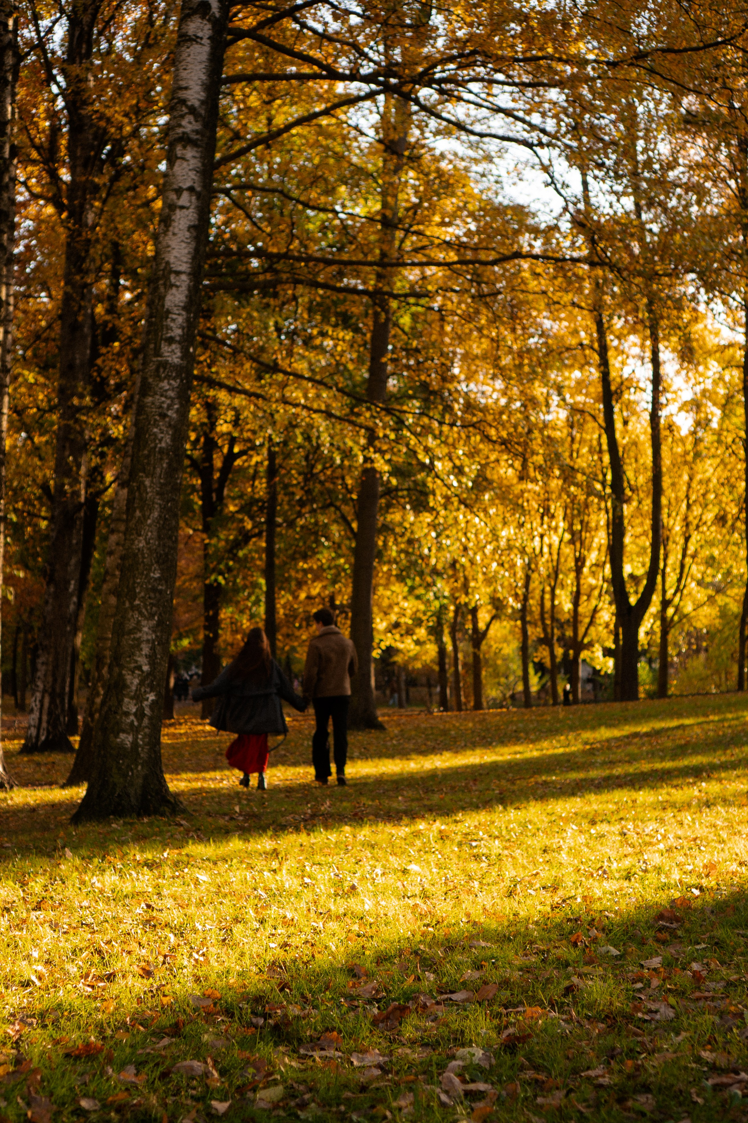 ОСЕННЯЯ ПРОГУЛКА. Профессиональный фотограф, Санкт-Петербург — Виктория Богомолова