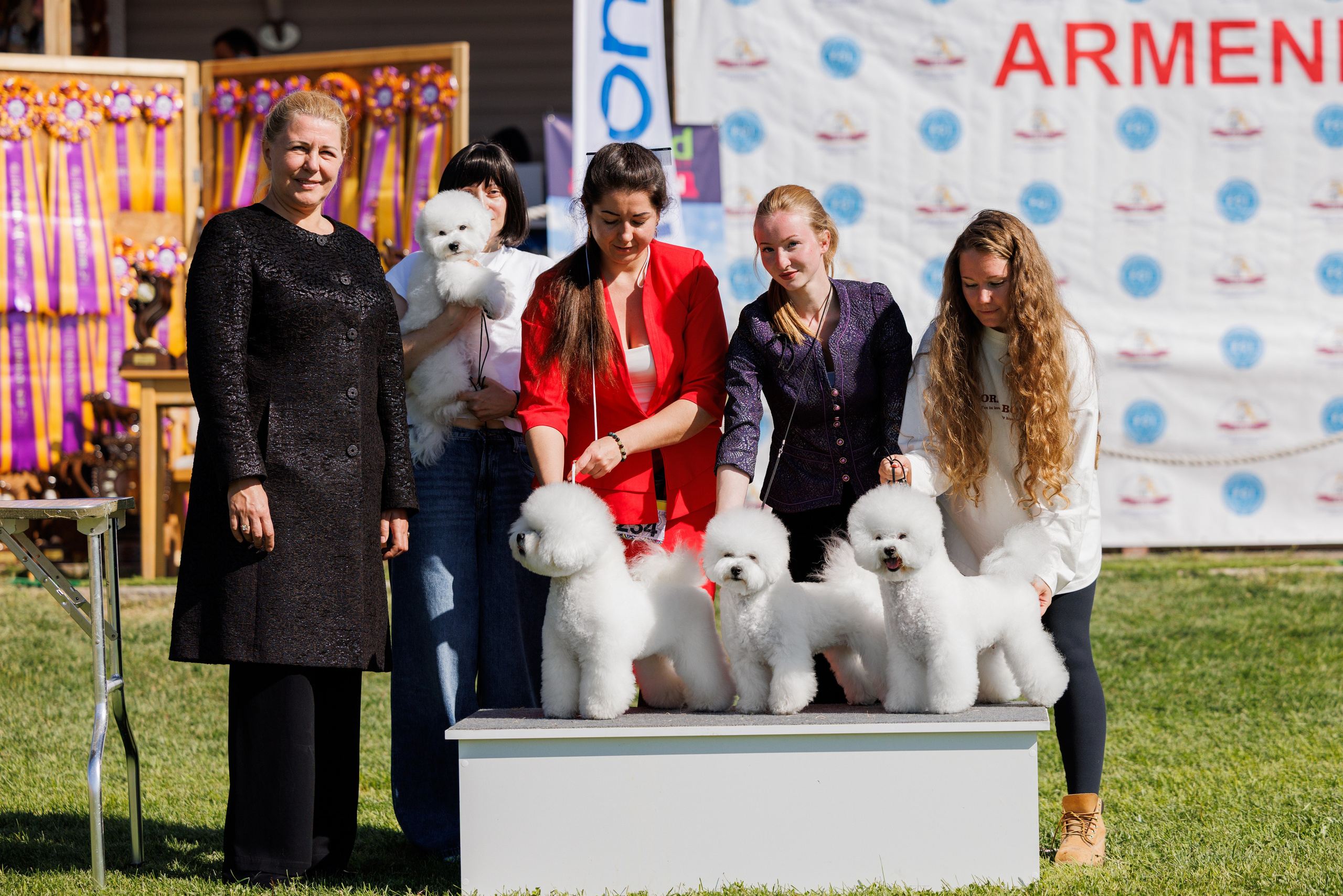 Ереван 14-16.10.2025. Фотограф-анималист Юлия Германика