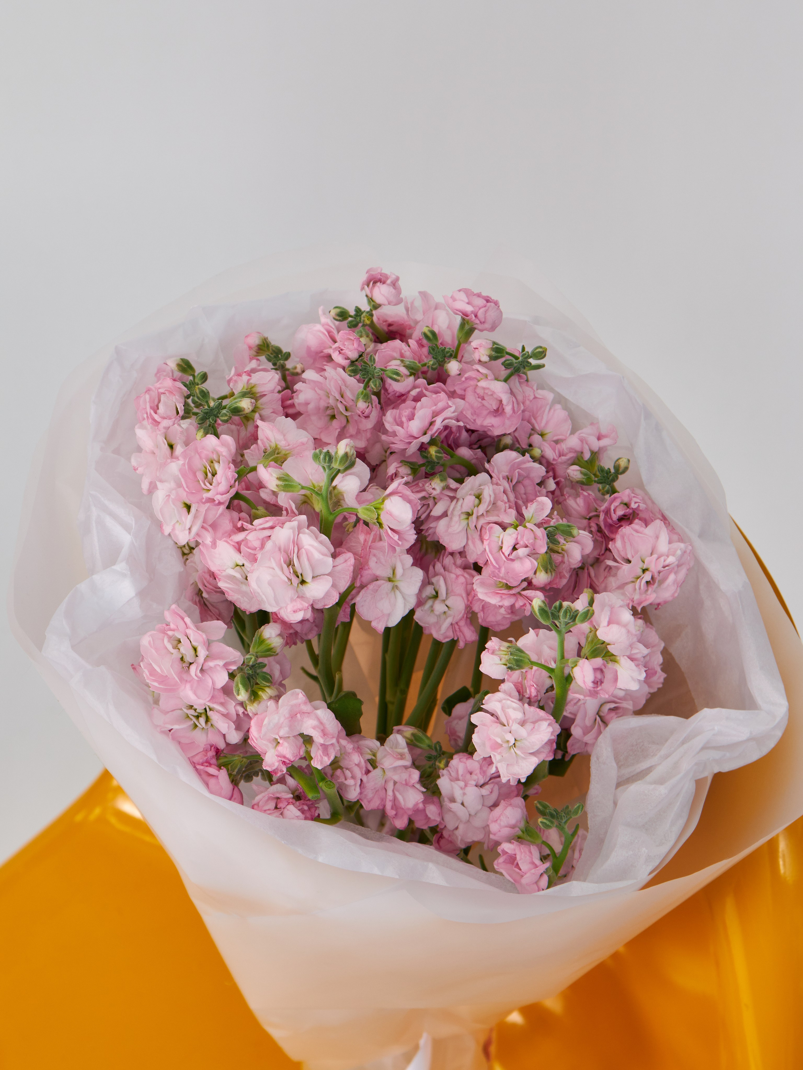 Съемка каталога одежды в Москве: фотограф с опытом, студия с оборудованием