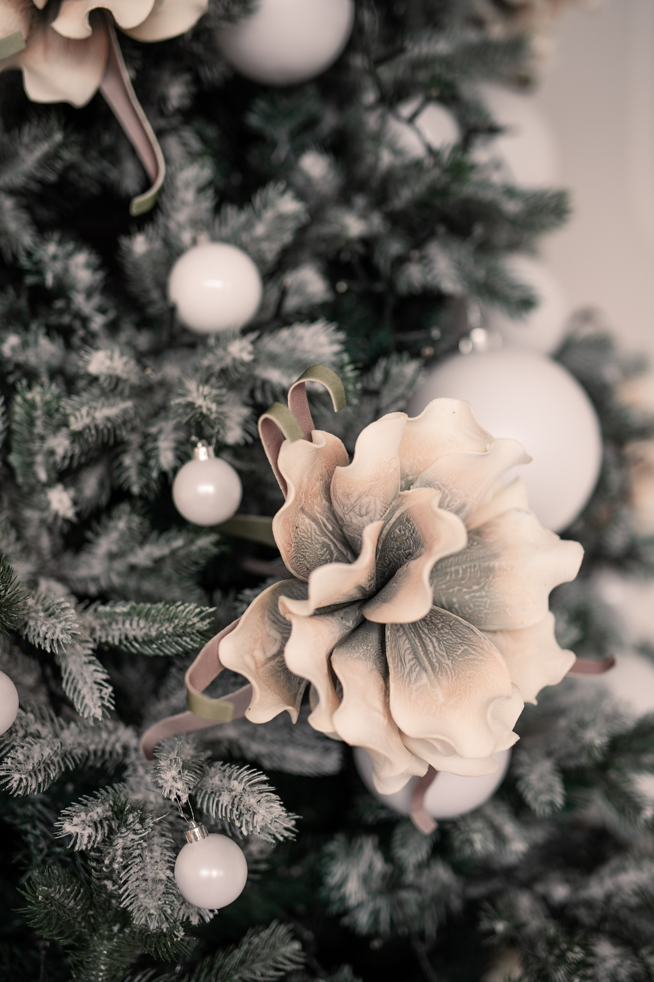 Мария и Павел. Фотограф Анастасия Петрова