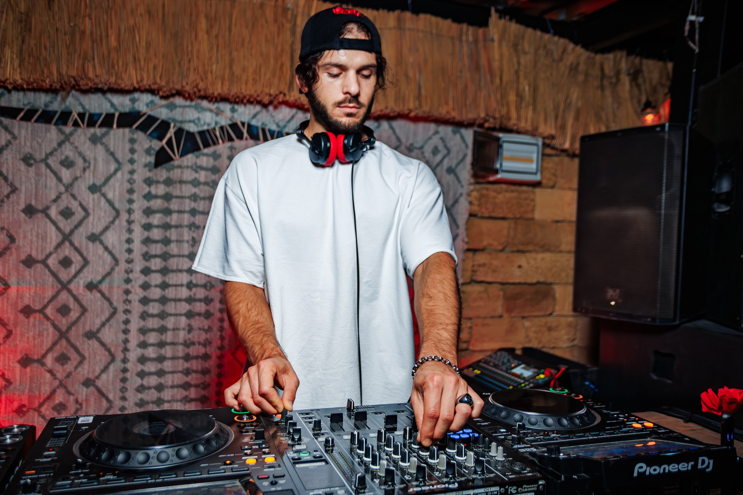 «Митя Фомин"_Чайка на пляже_Ялта_28.06.2025 г. Аминов Руслан | Фотограф