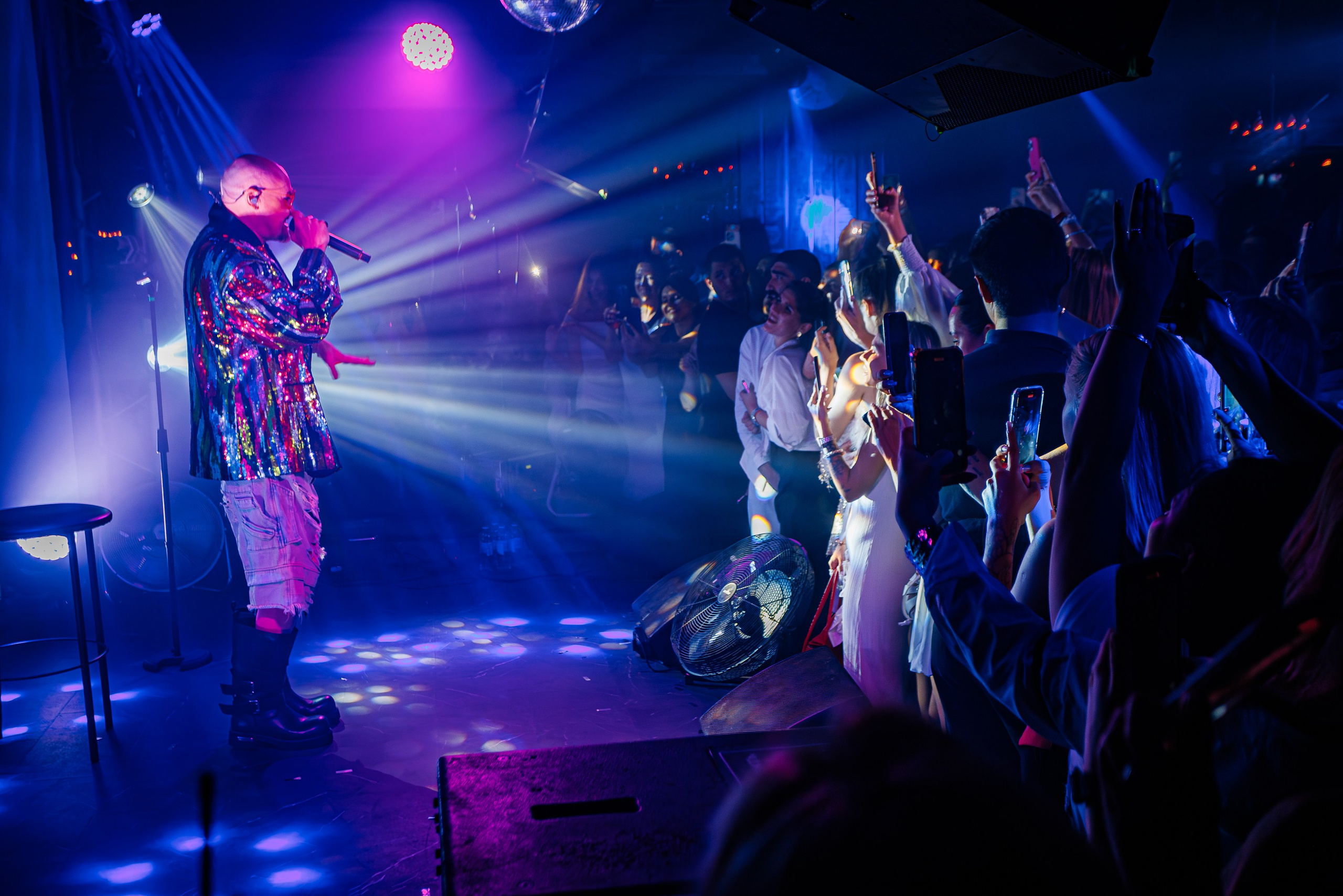 «Шура"_Чайка на пляже_Ялта_18.07.2025 г. Аминов Руслан | Фотограф