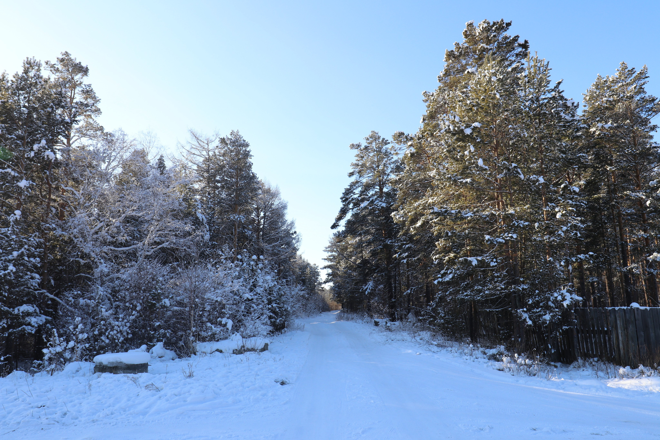 Аршан. Январь 2022. Путешественник-фотограф из Санкт-Петербурга Татьяна Свистулина