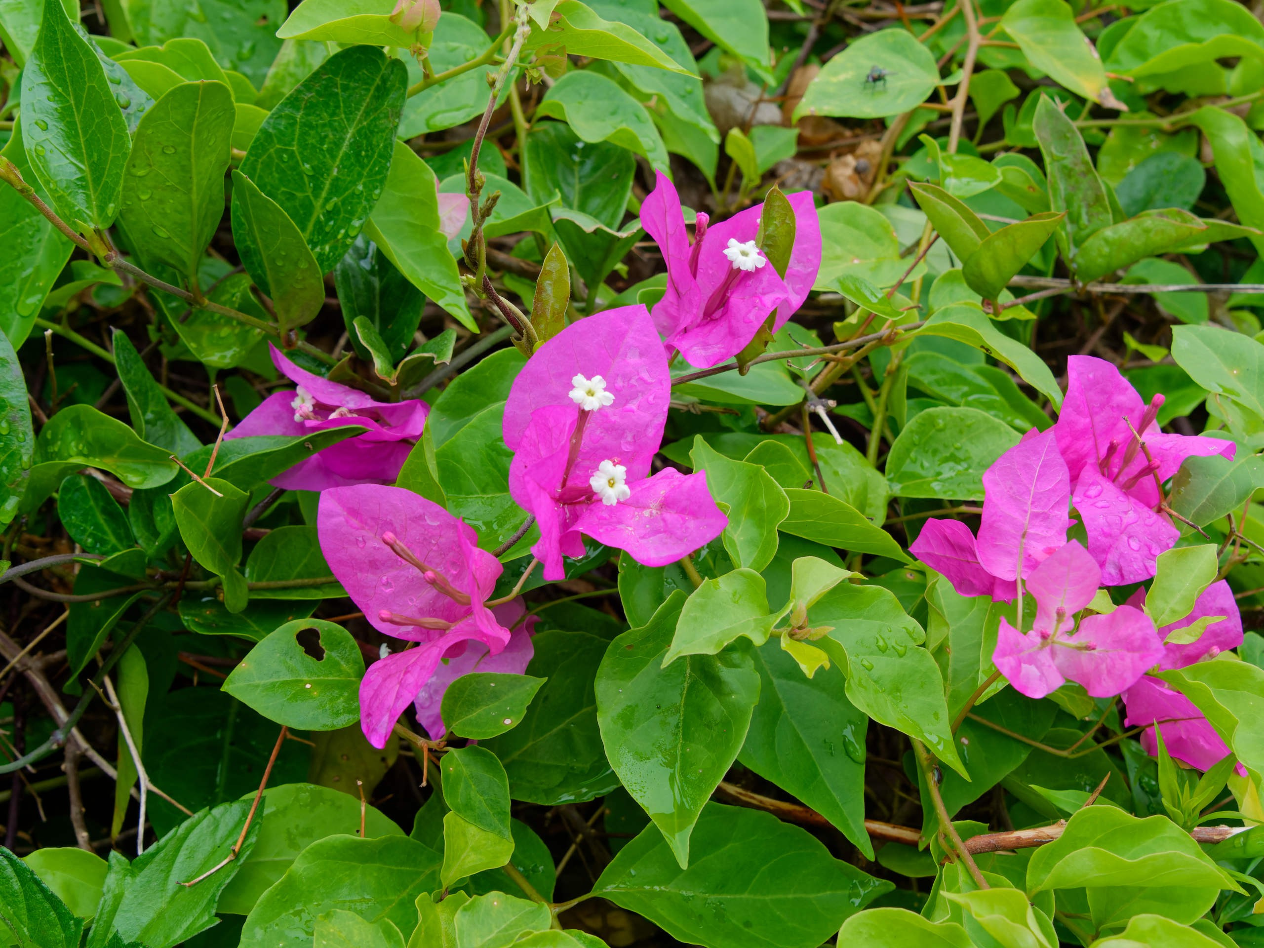 Нячанг 2025 (4). Избранные фотографии