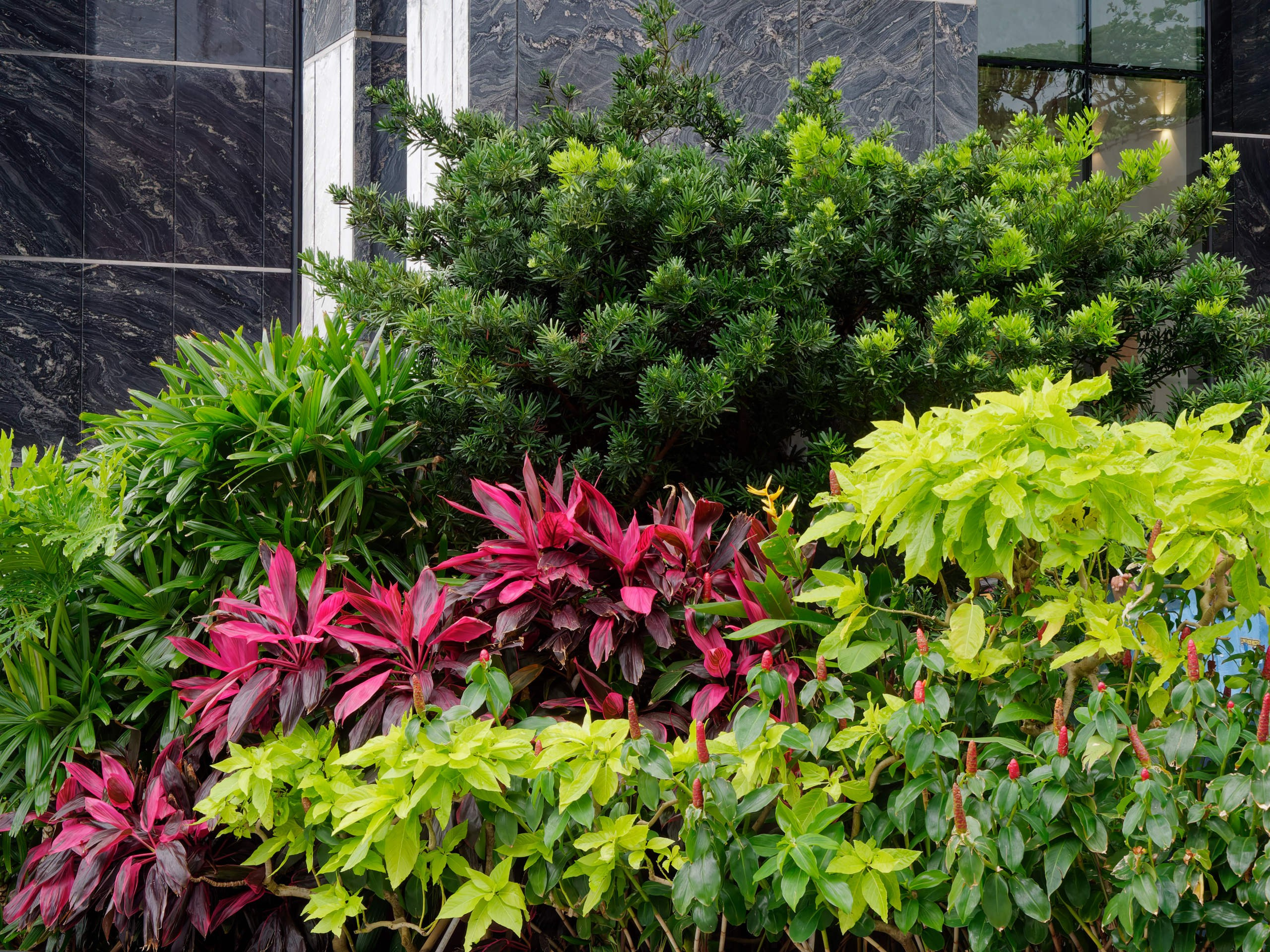 Нячанг 2025 (4). Избранные фотографии