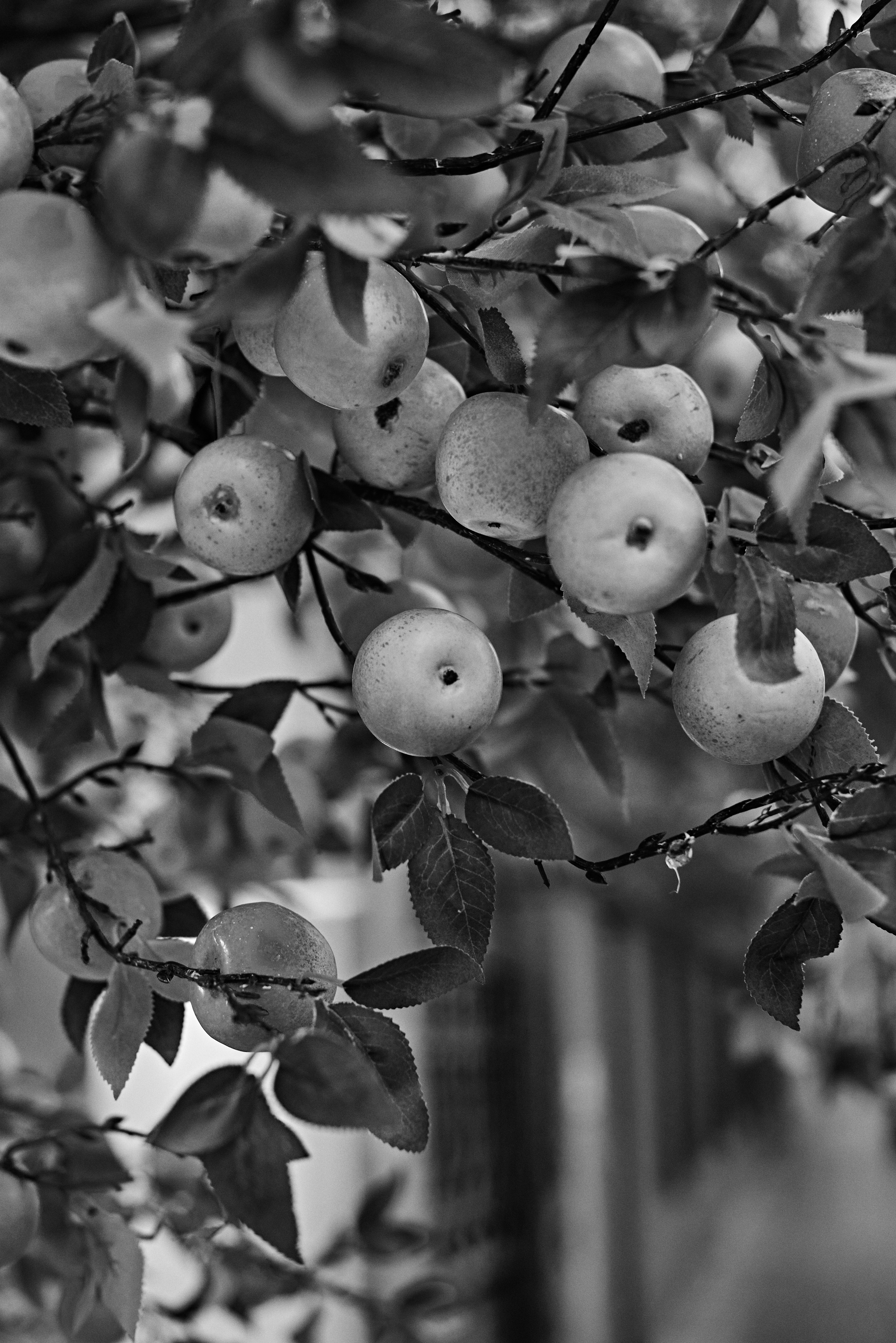 2024. Марфин. Фотограф