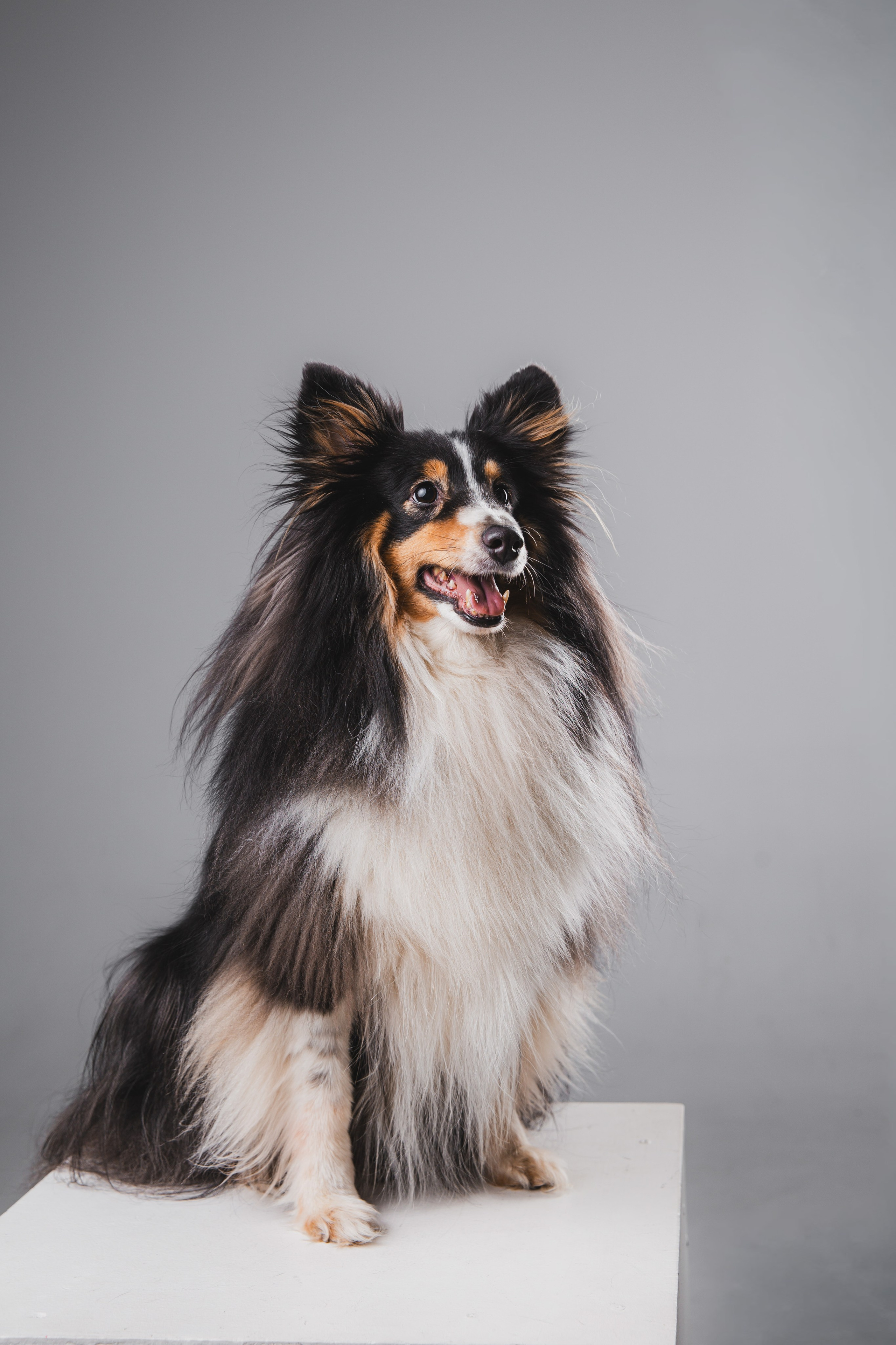 Воркшоп по импульсному свету