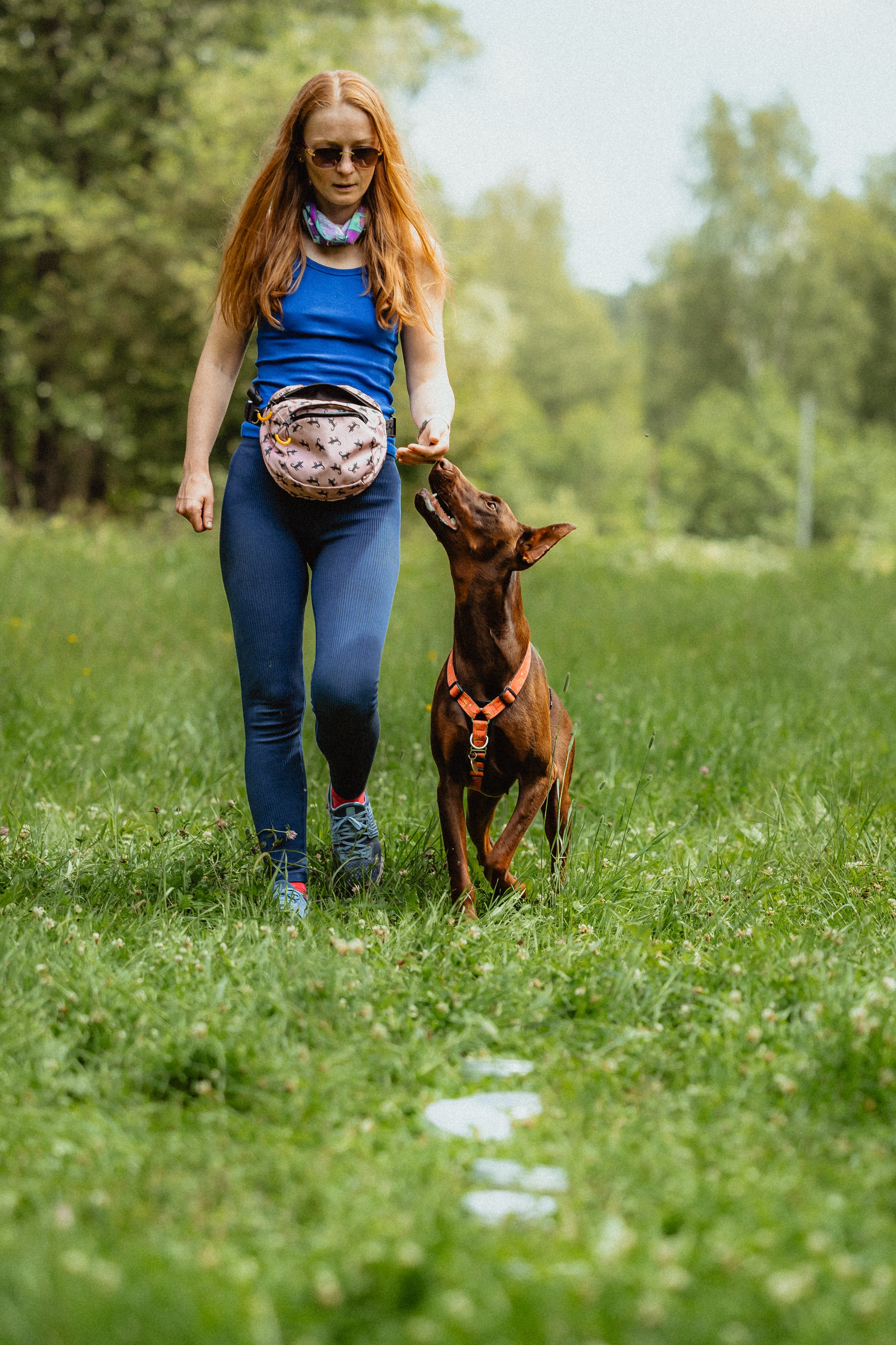 Выездной дог-тренинг от школы «Шерсть имею»