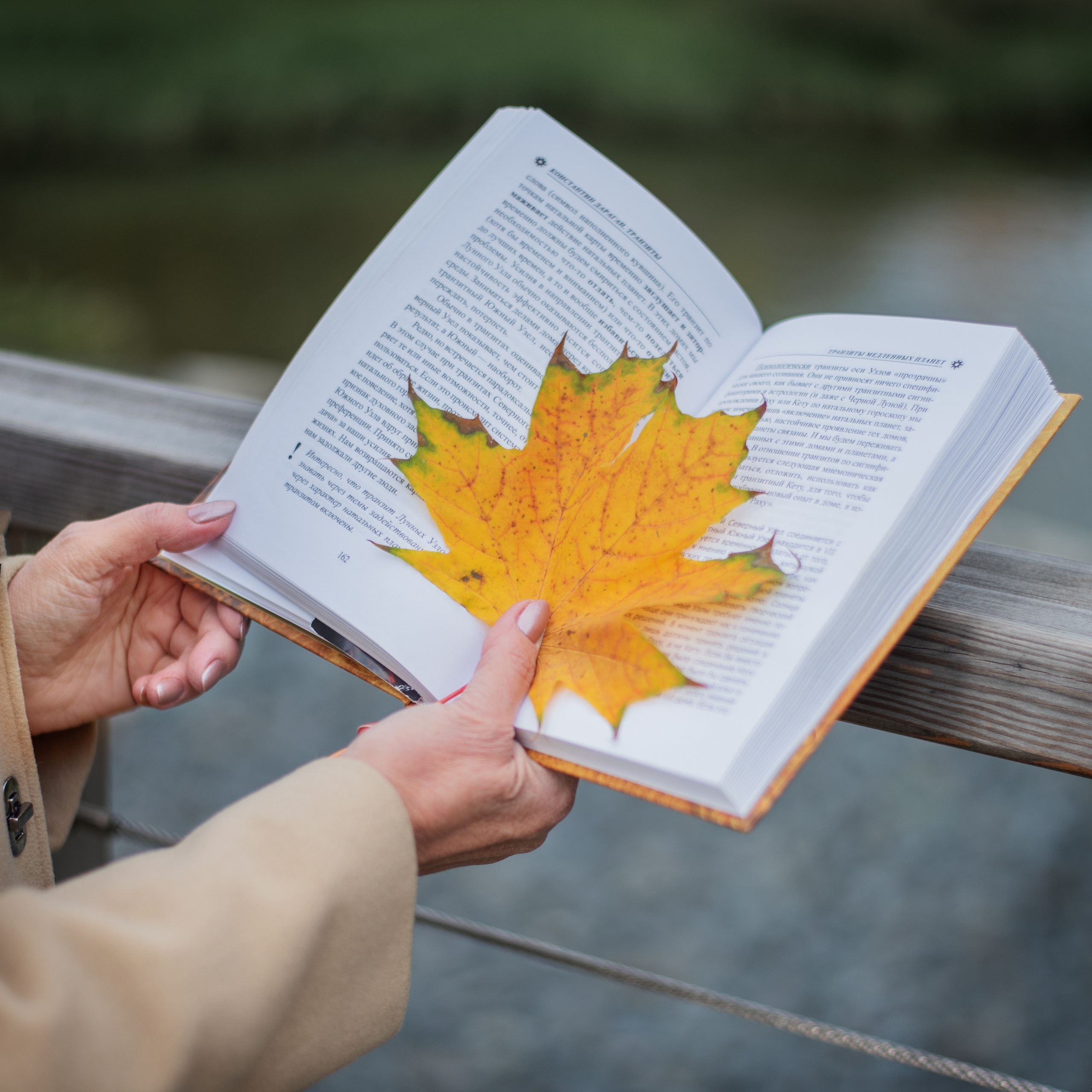 Астролог. Лина Курочка — ваш фотограф