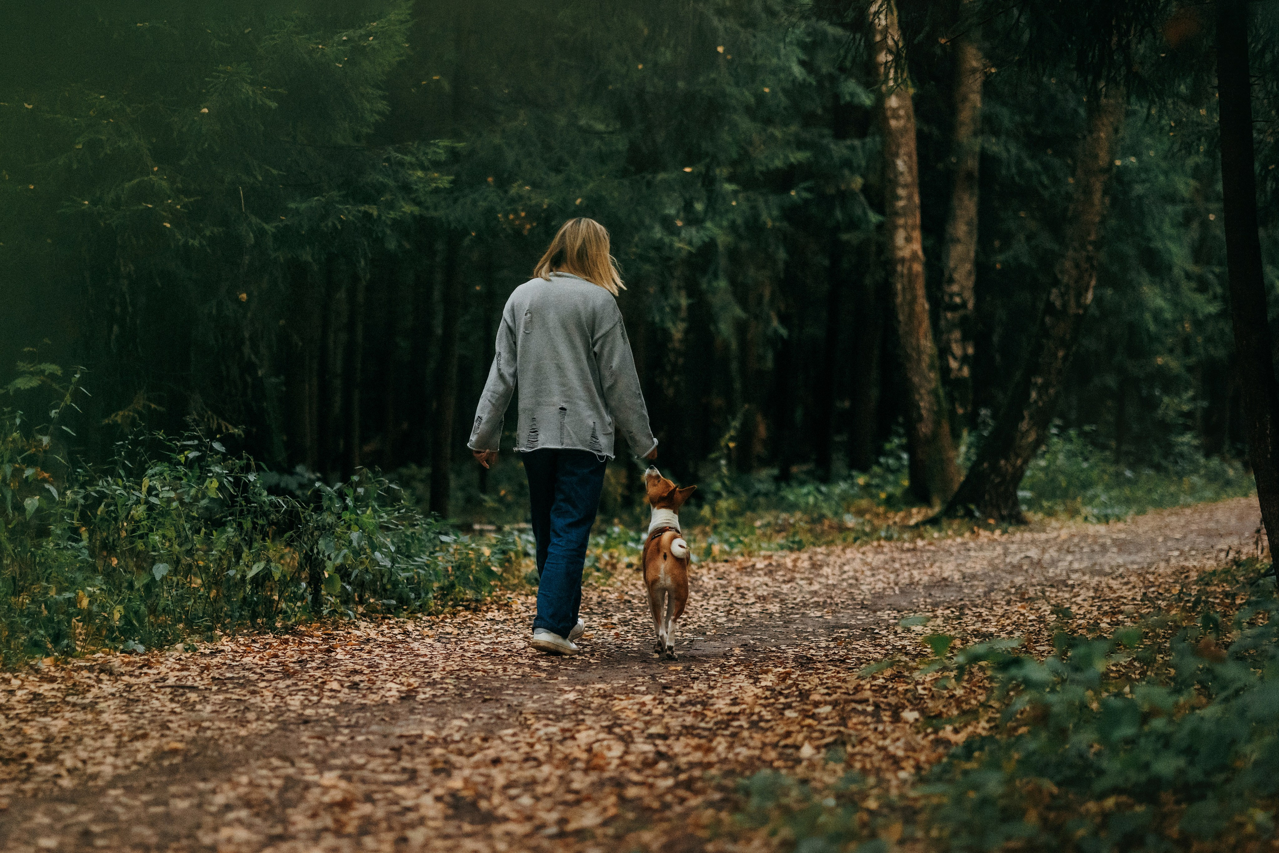Лена и Джин. Фотограф-анималист Елена Радченко, Москва