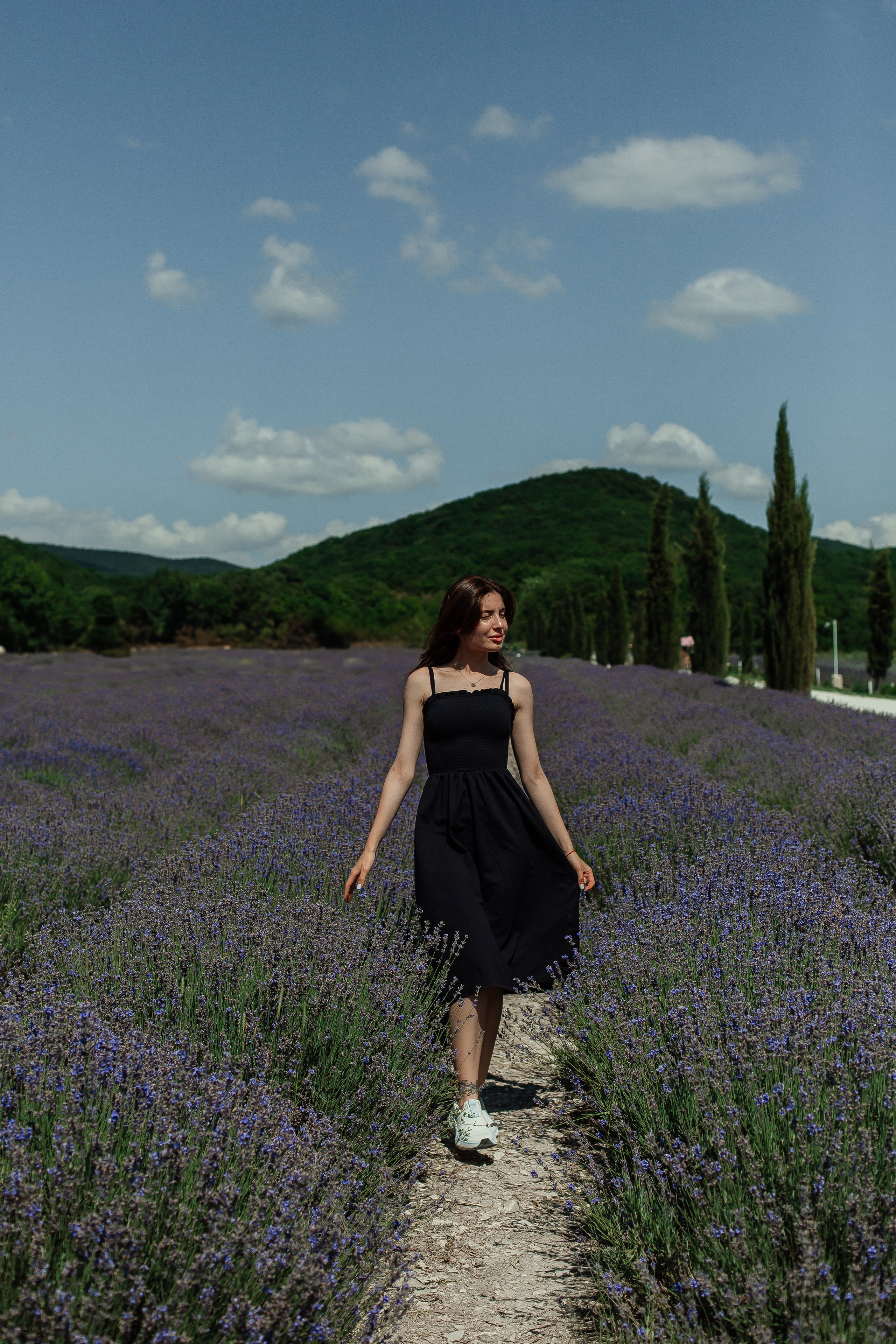 Лавандовые поля